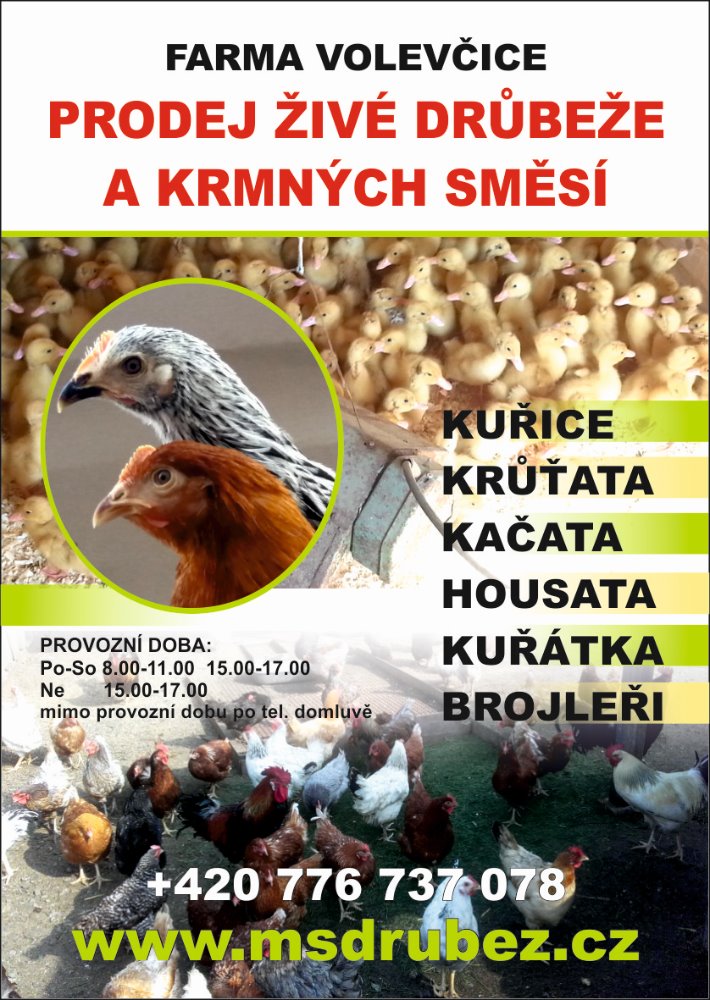 Martin Strnad prodej drůbeže foto 2
