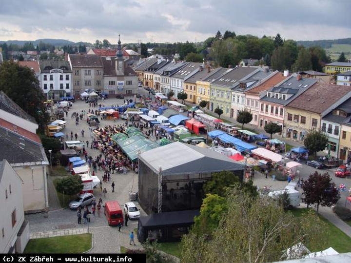 Zábřežská kulturní, s.r.o. foto 5