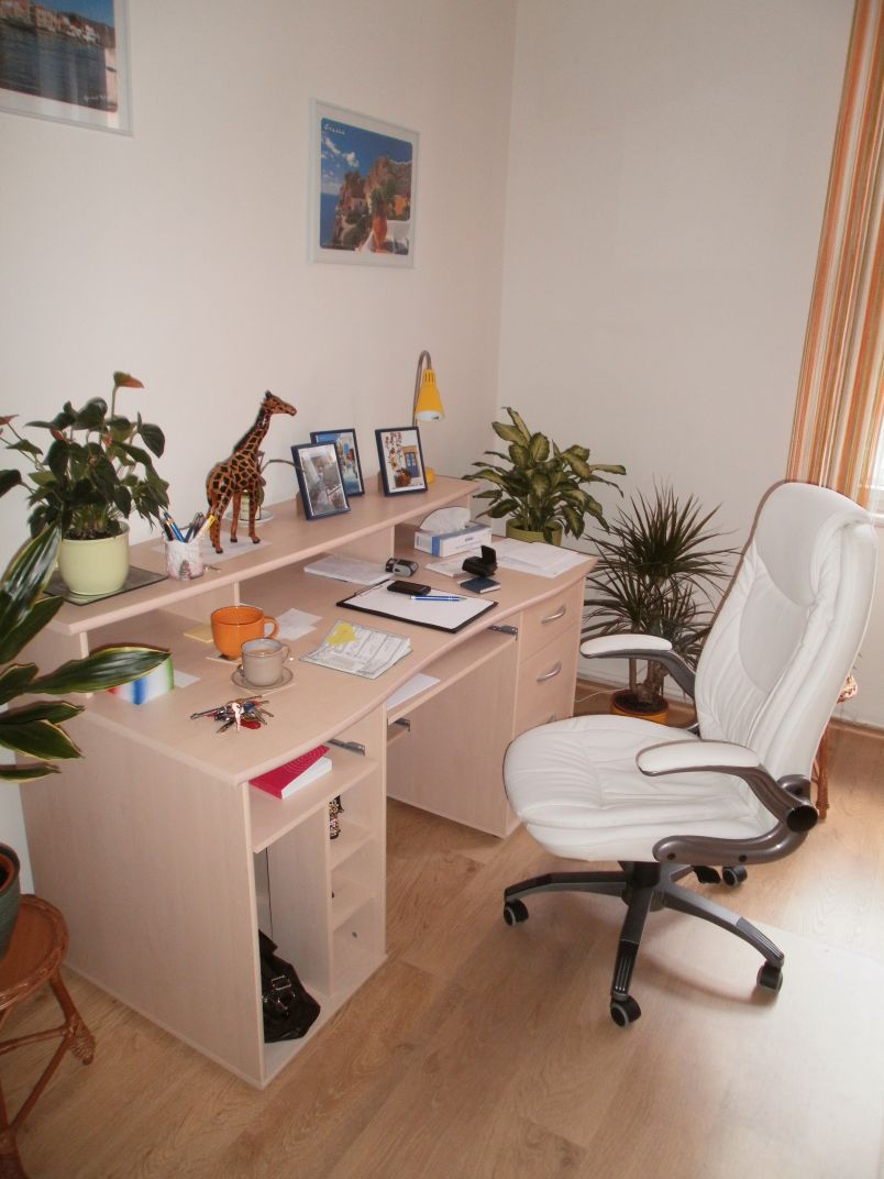 Psychotesty pro řidiče Praha – Mgr. Petra Meisnerová foto 4