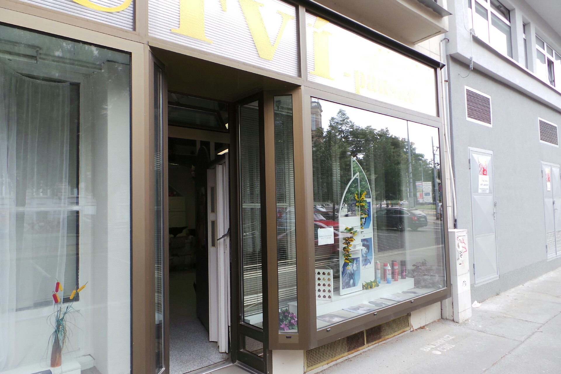 Danuše Brandejsová