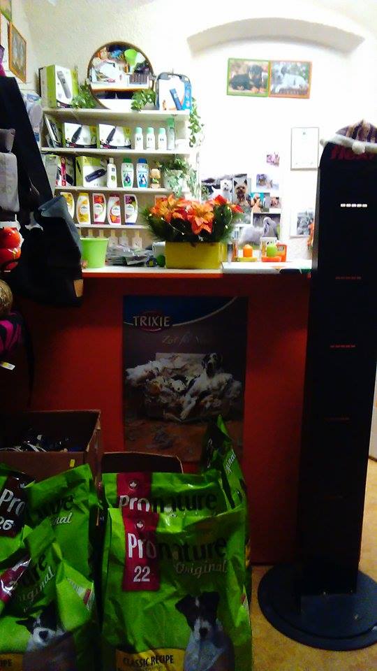 Stříhání a úprava psů Čáslav foto 3