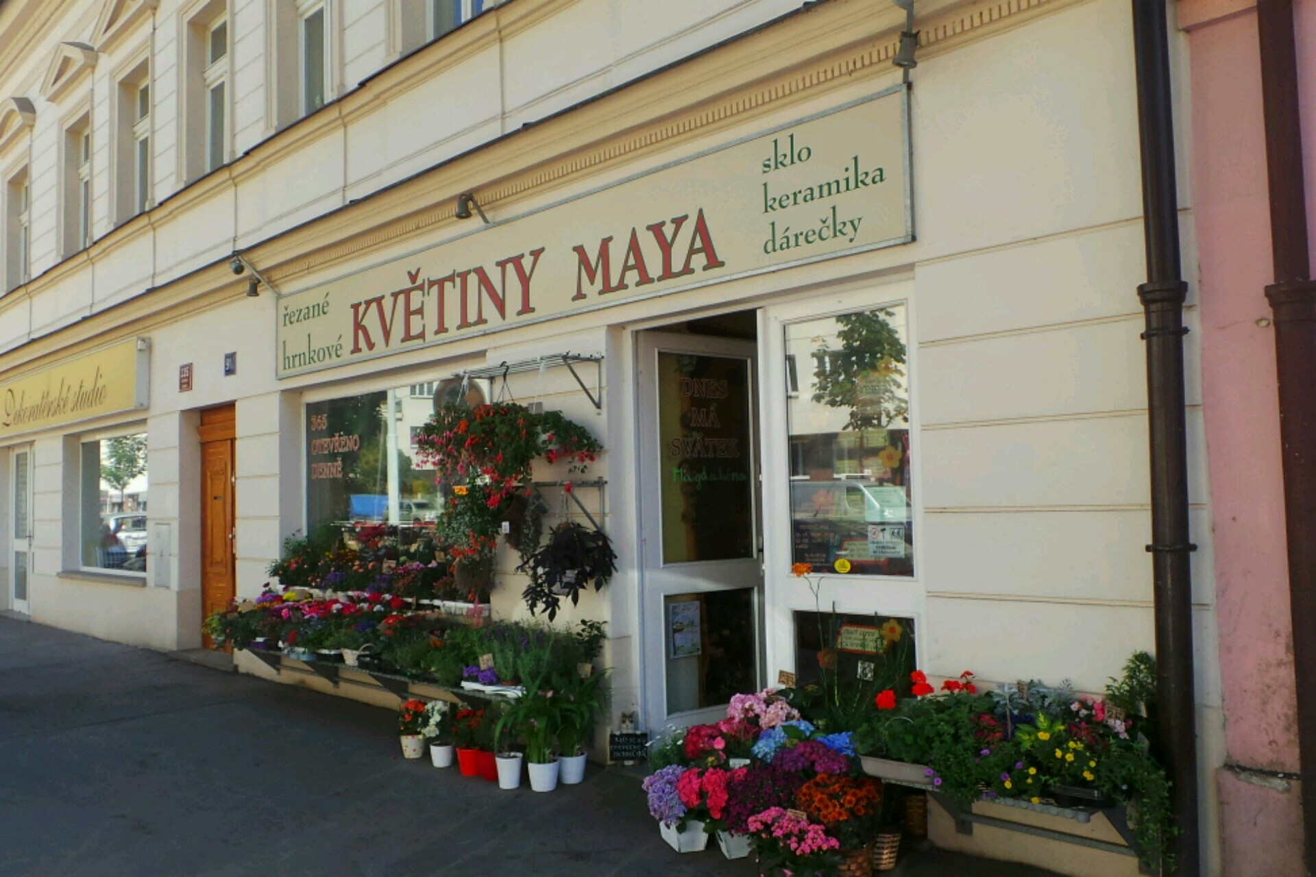 Květiny MAYA foto 3