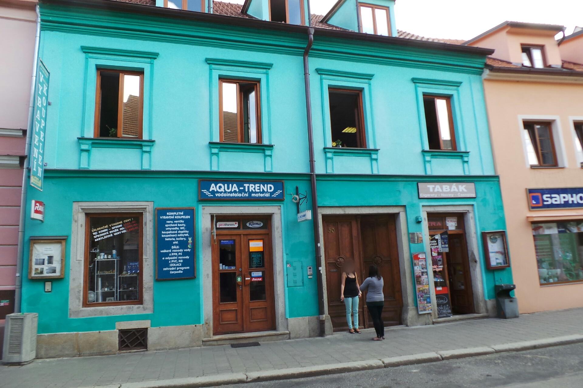 Malba obrazů PhDr. Marie Kublová