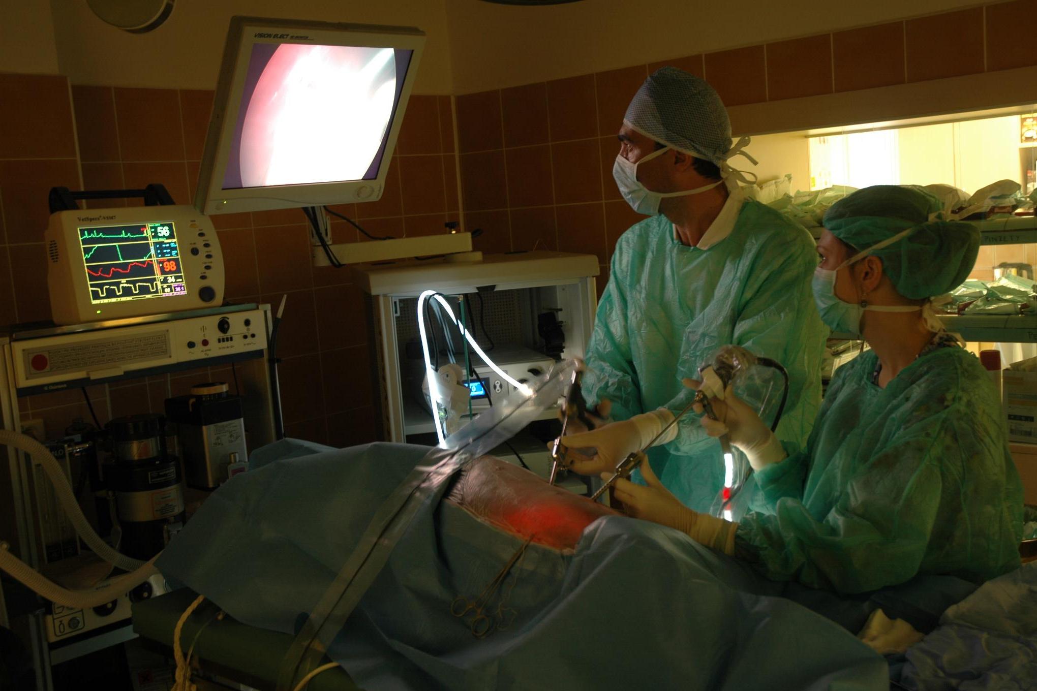 Veterinární centrum pro laparoskopickou a miniinvazivní chirurgii foto 1