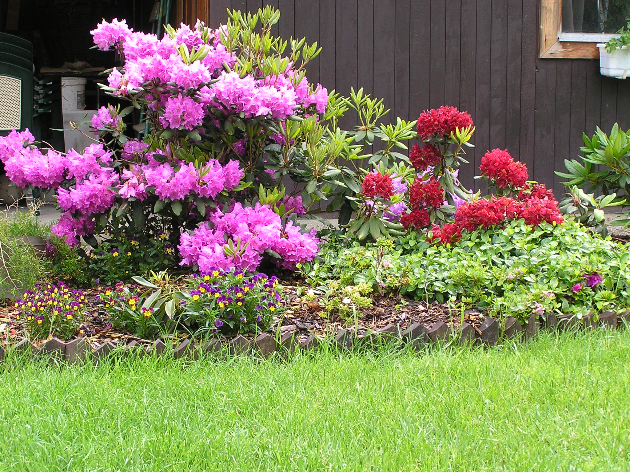 ROŽNOVSKÁ TRAVNÍ SEMENA, s.r.o. foto 2