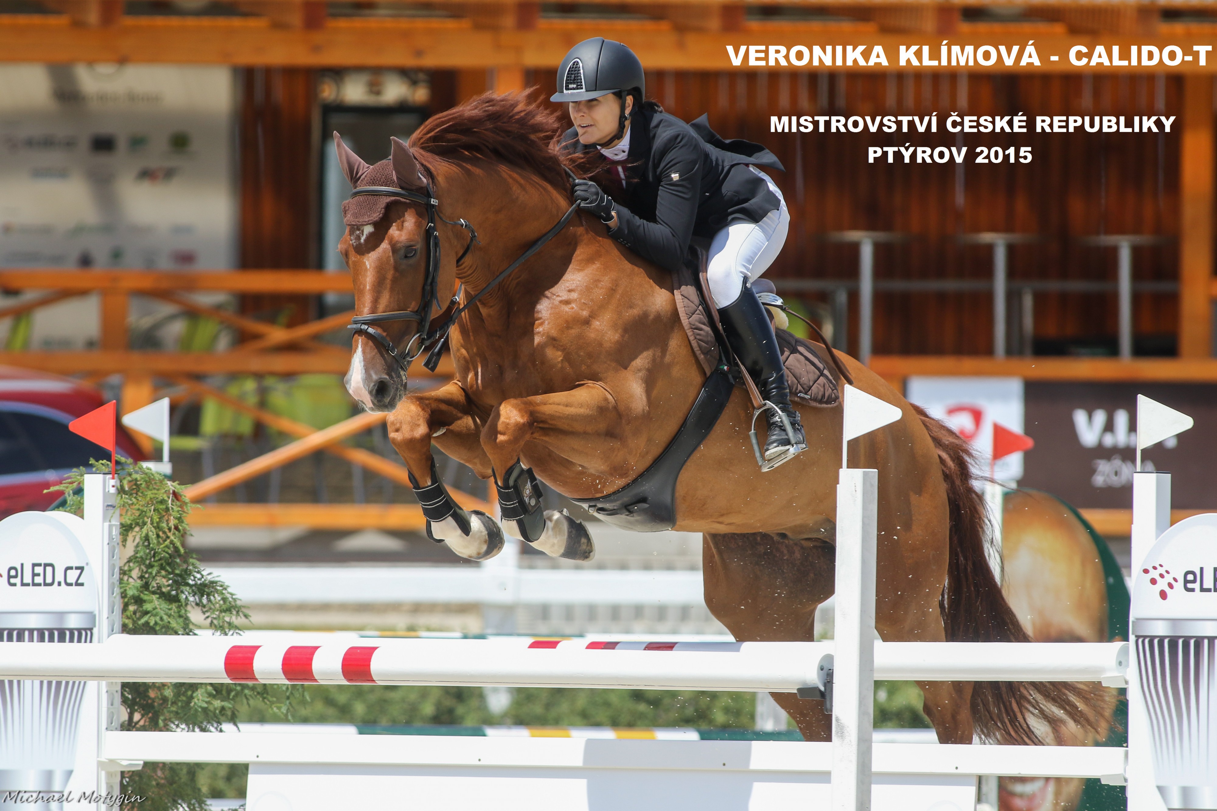 WinnerHorses foto 2