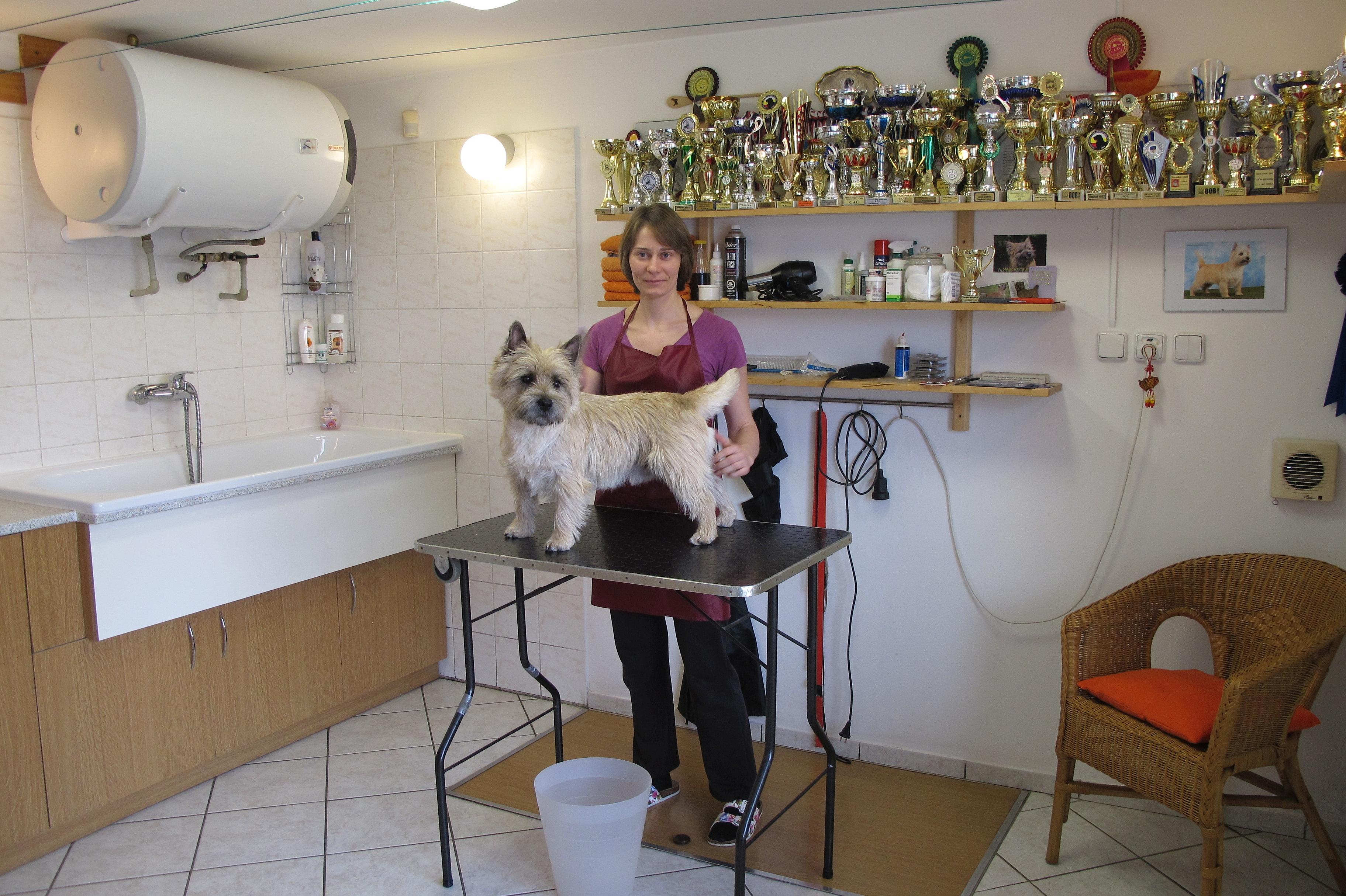 Petra Musilová - Salon PeGas