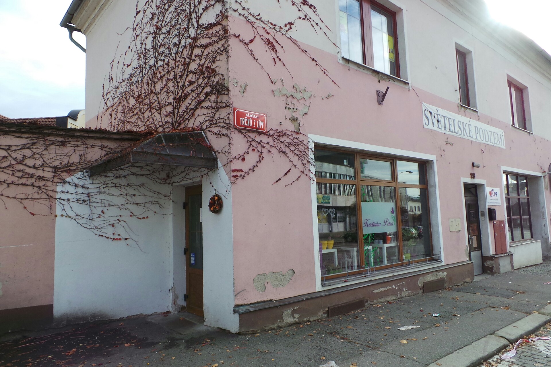 Květinka Petra foto 4