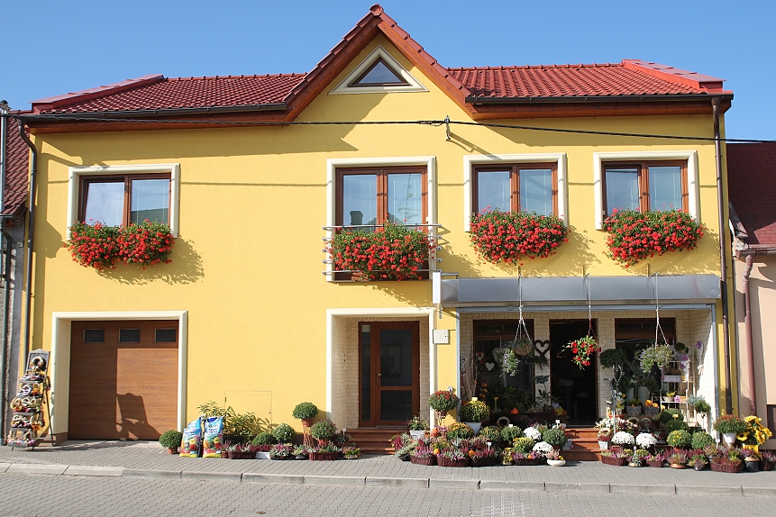 Květiny Kateřina Klofáčová