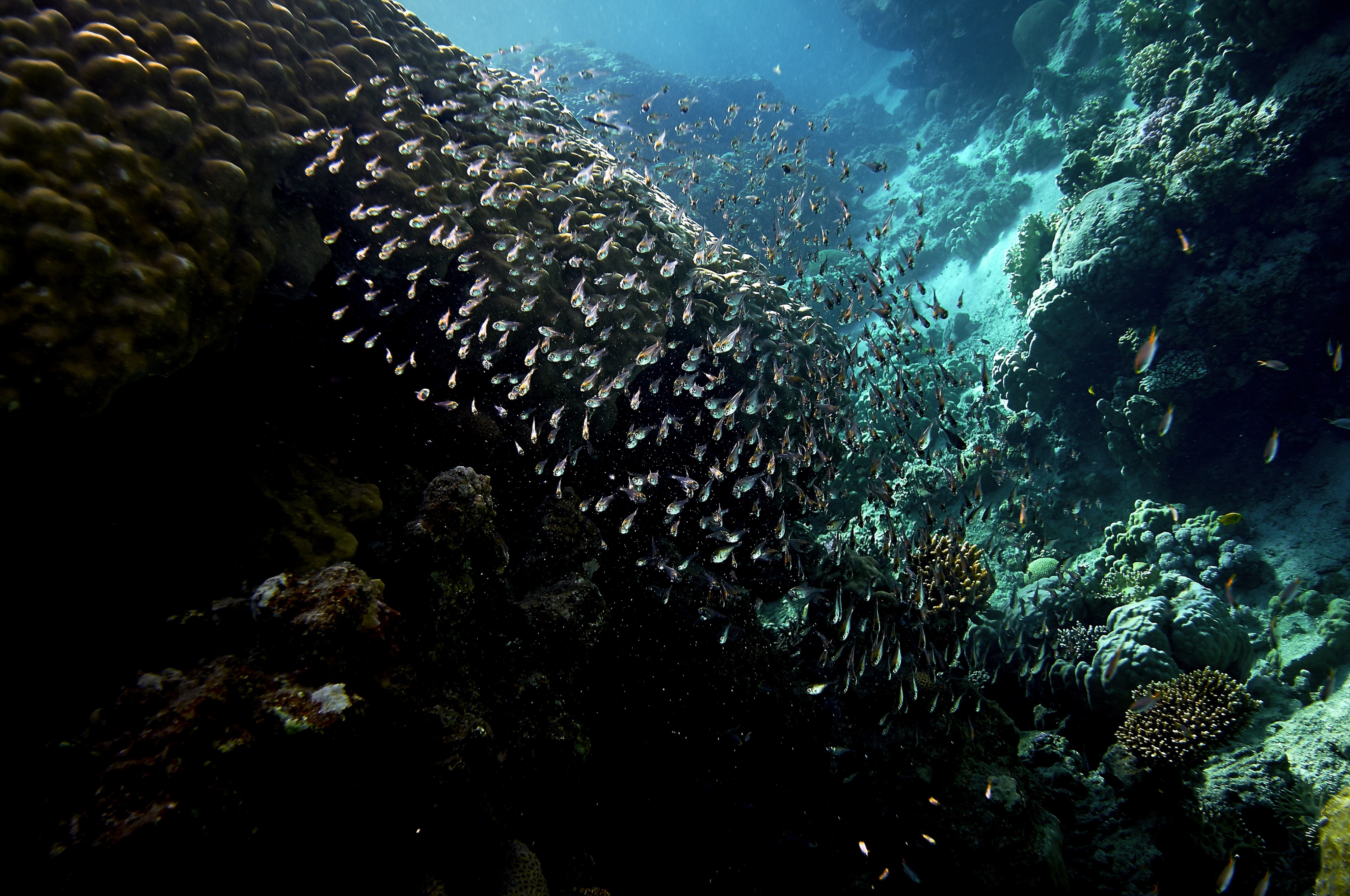 Spolek Big Blue foto 2