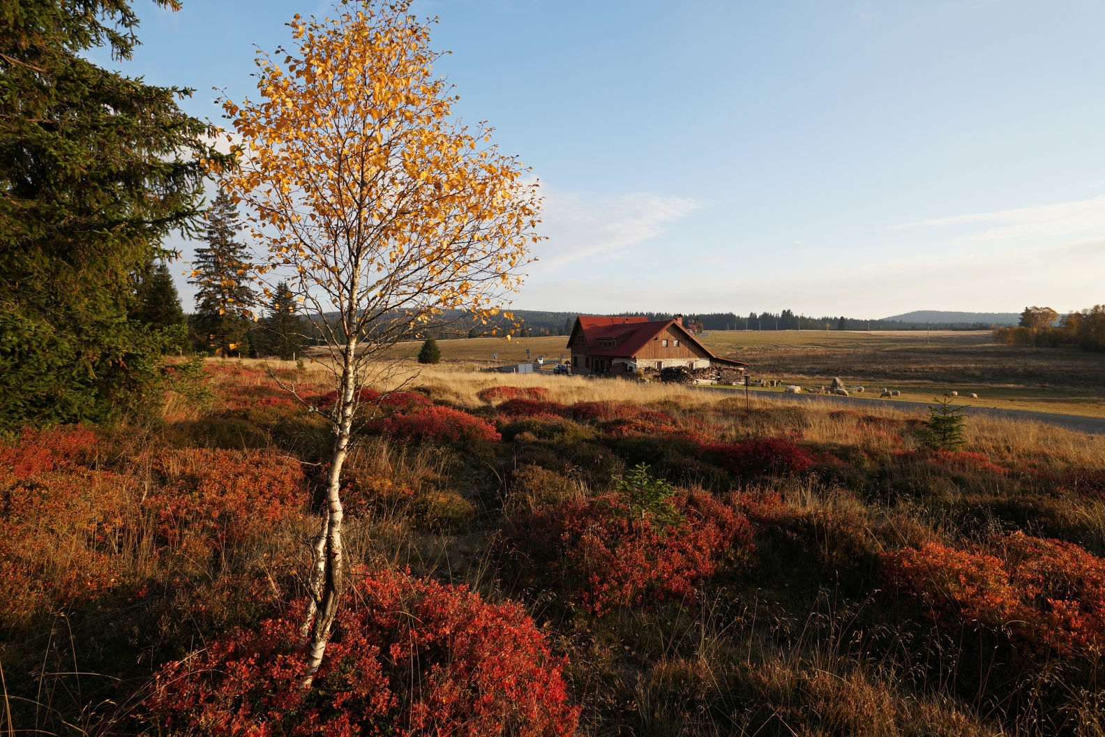 Chalupa U Vydřího mostu foto 2