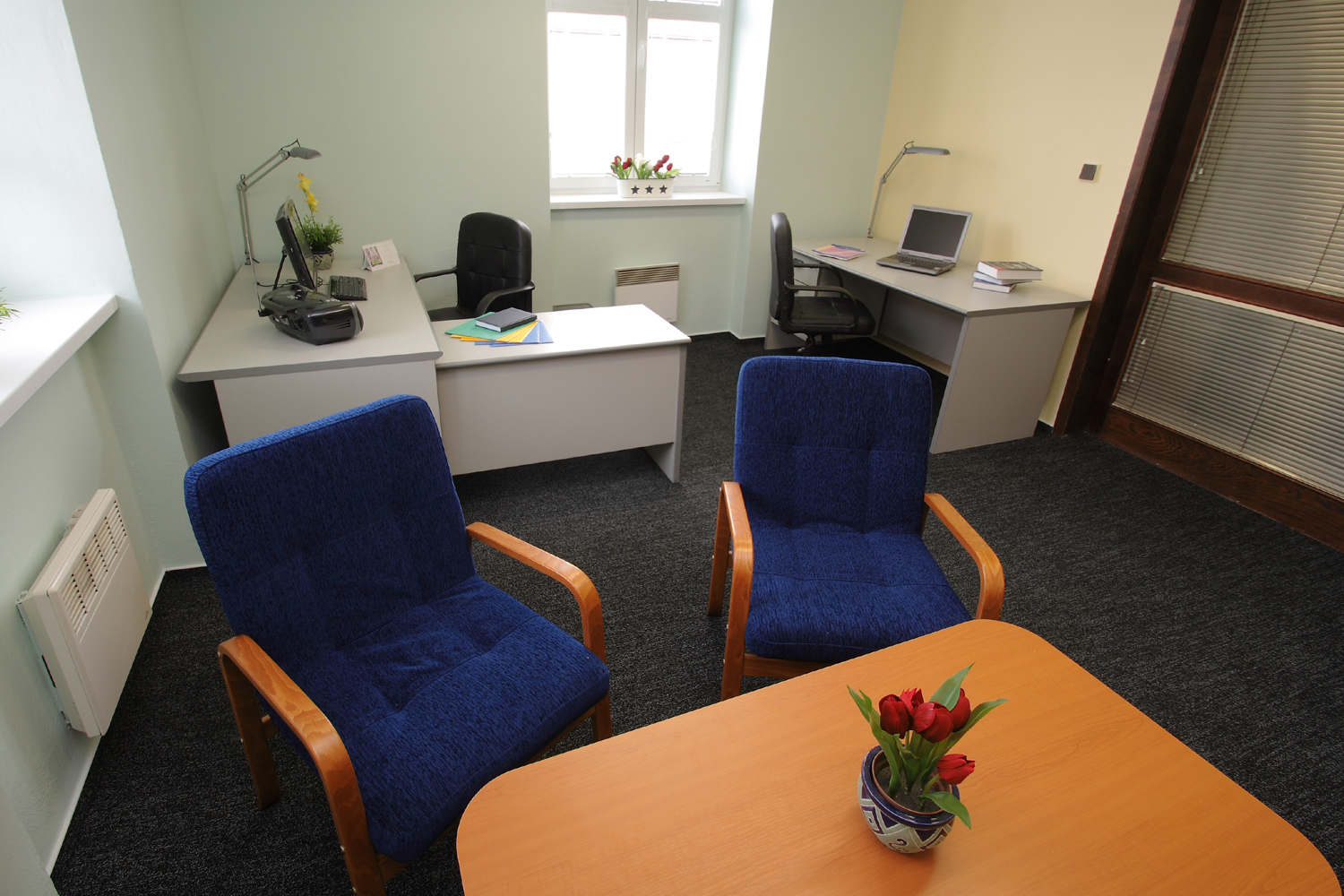 BUSINESS HOUSE DOMICA foto 4