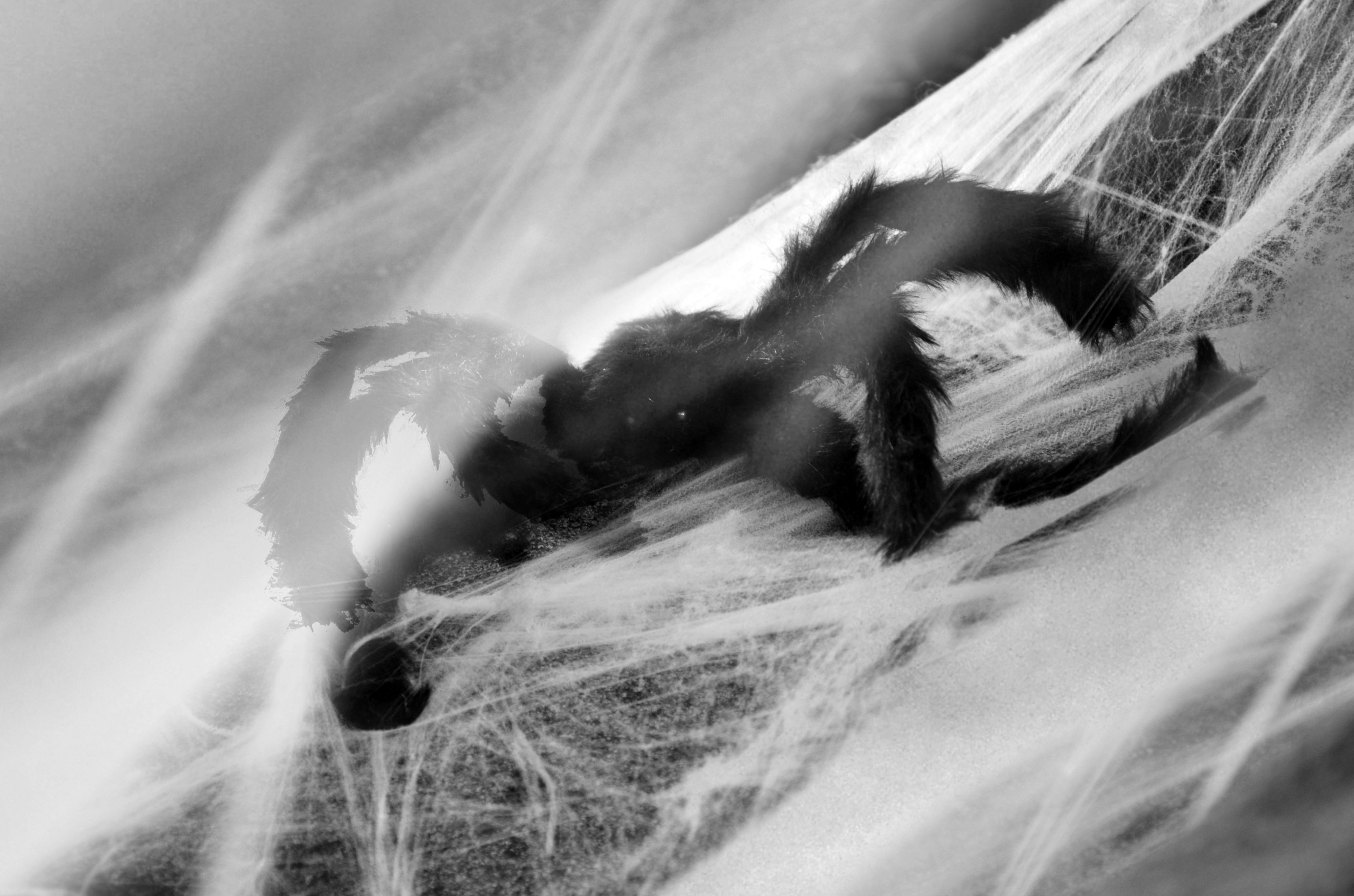 Michal Rajdl - Noční bojovka foto 4