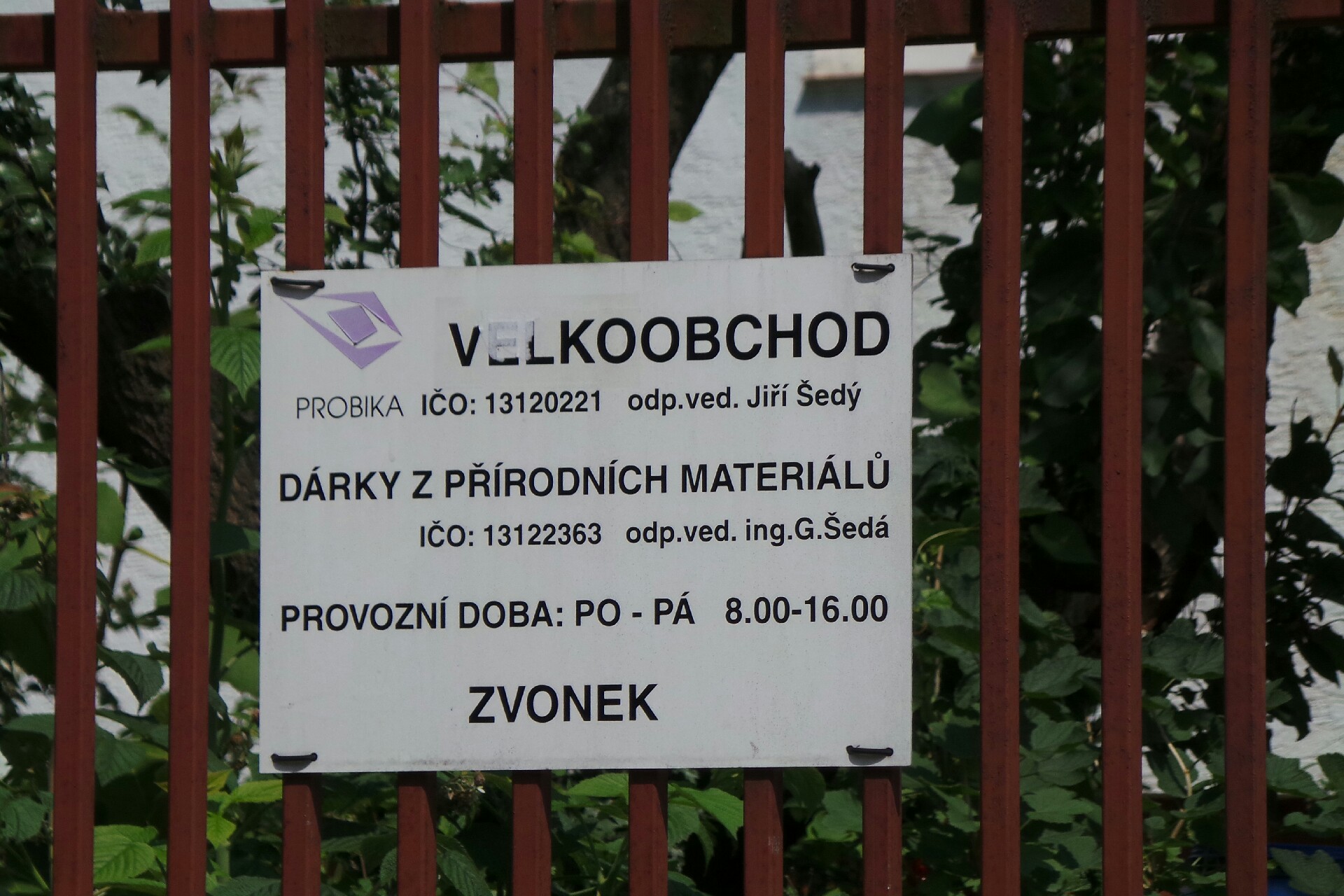 Probika foto 3