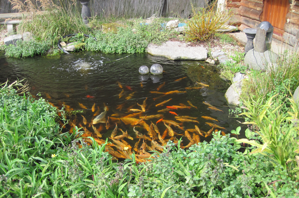 Vodní Království, s.r.o. foto 4