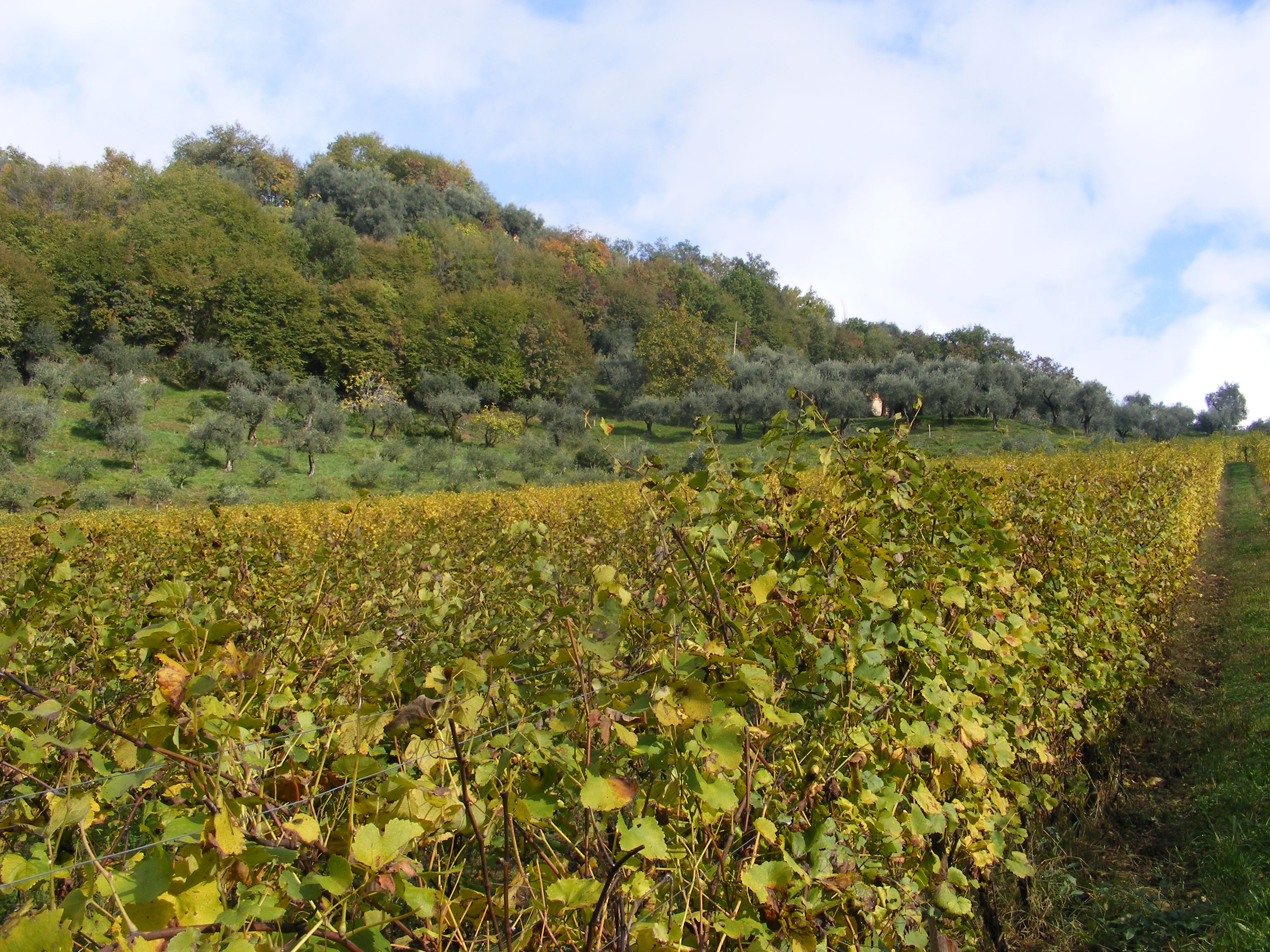 Martin Kubata - VÍNO JE LÉK foto 3