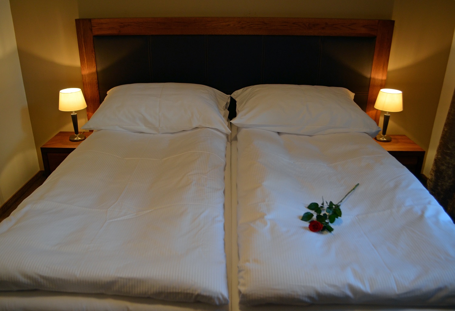 Hotel U Kvapilů foto 3