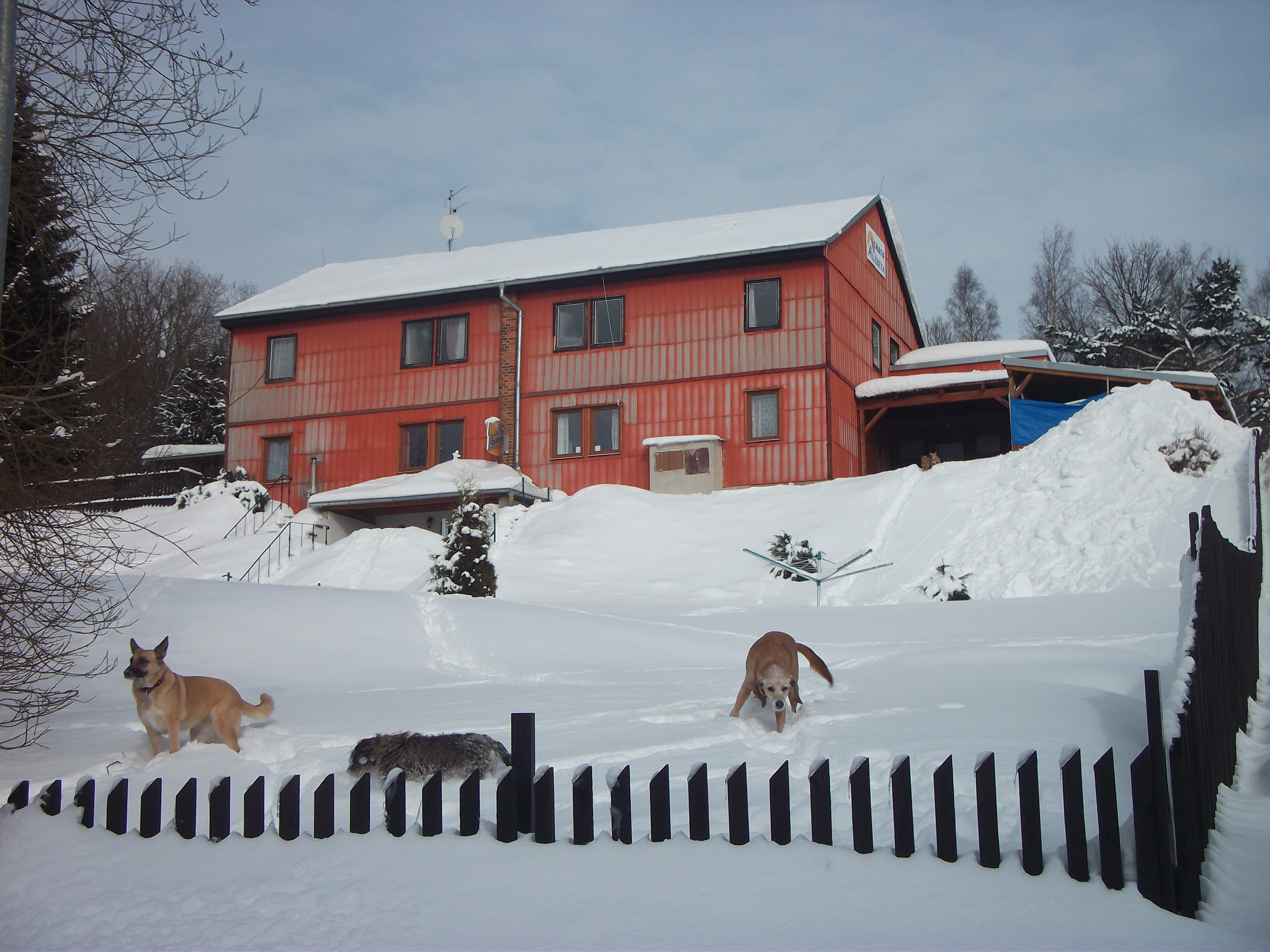 Horská Chata Alžběta foto 2