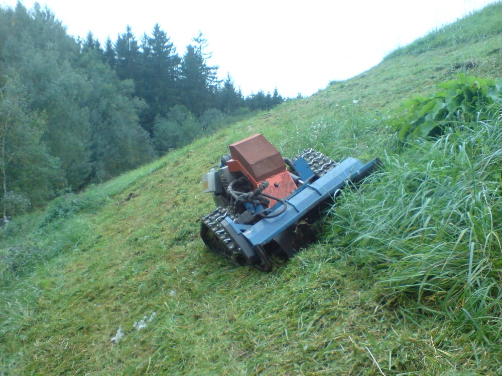 Zeleň Vysočina foto 3