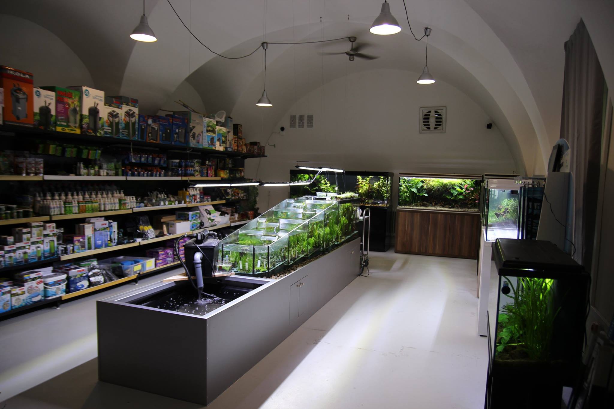 Akvazoo Rataj foto 5