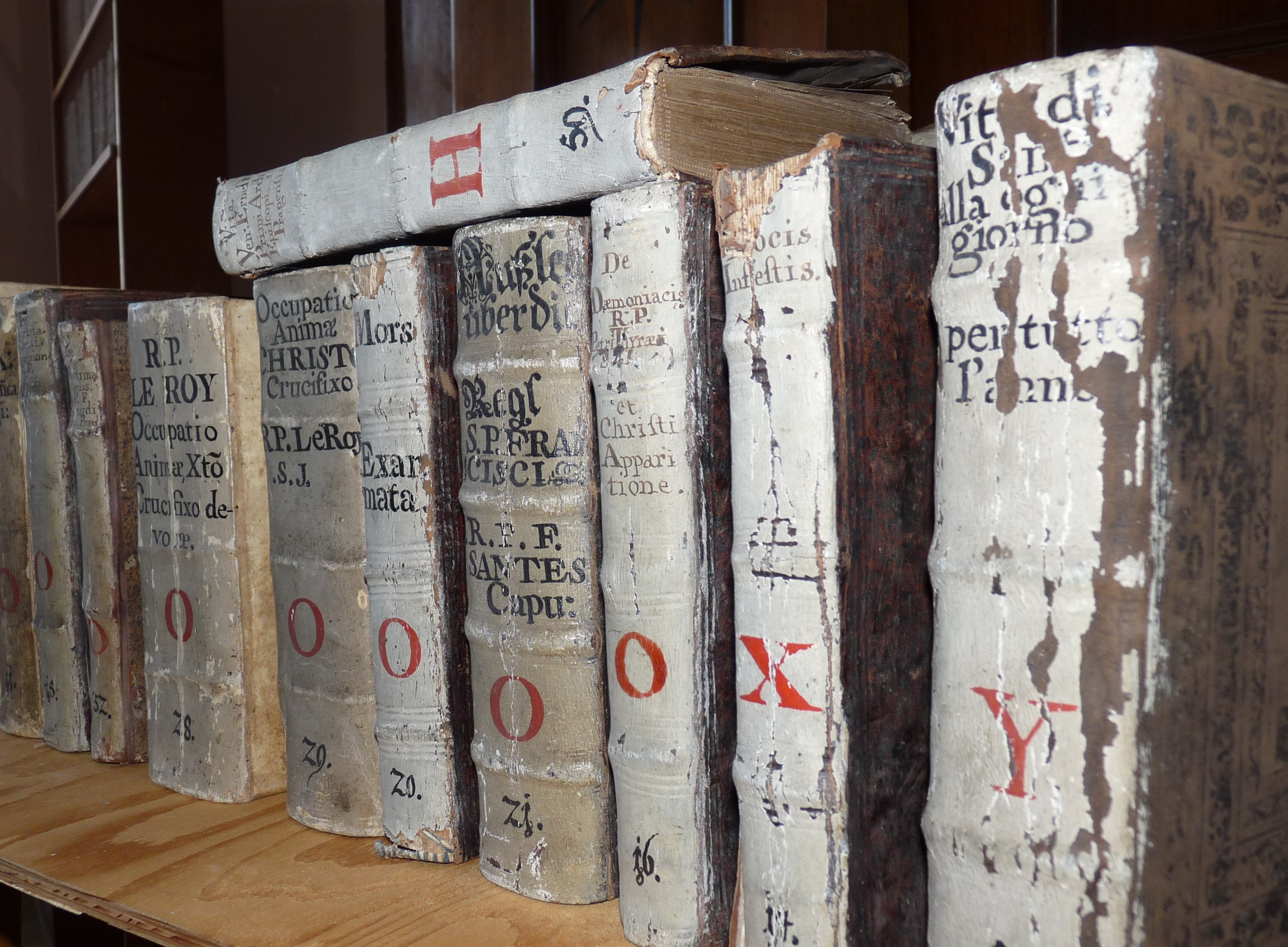 Knihovna Muzea Šumavy Sušice foto 4