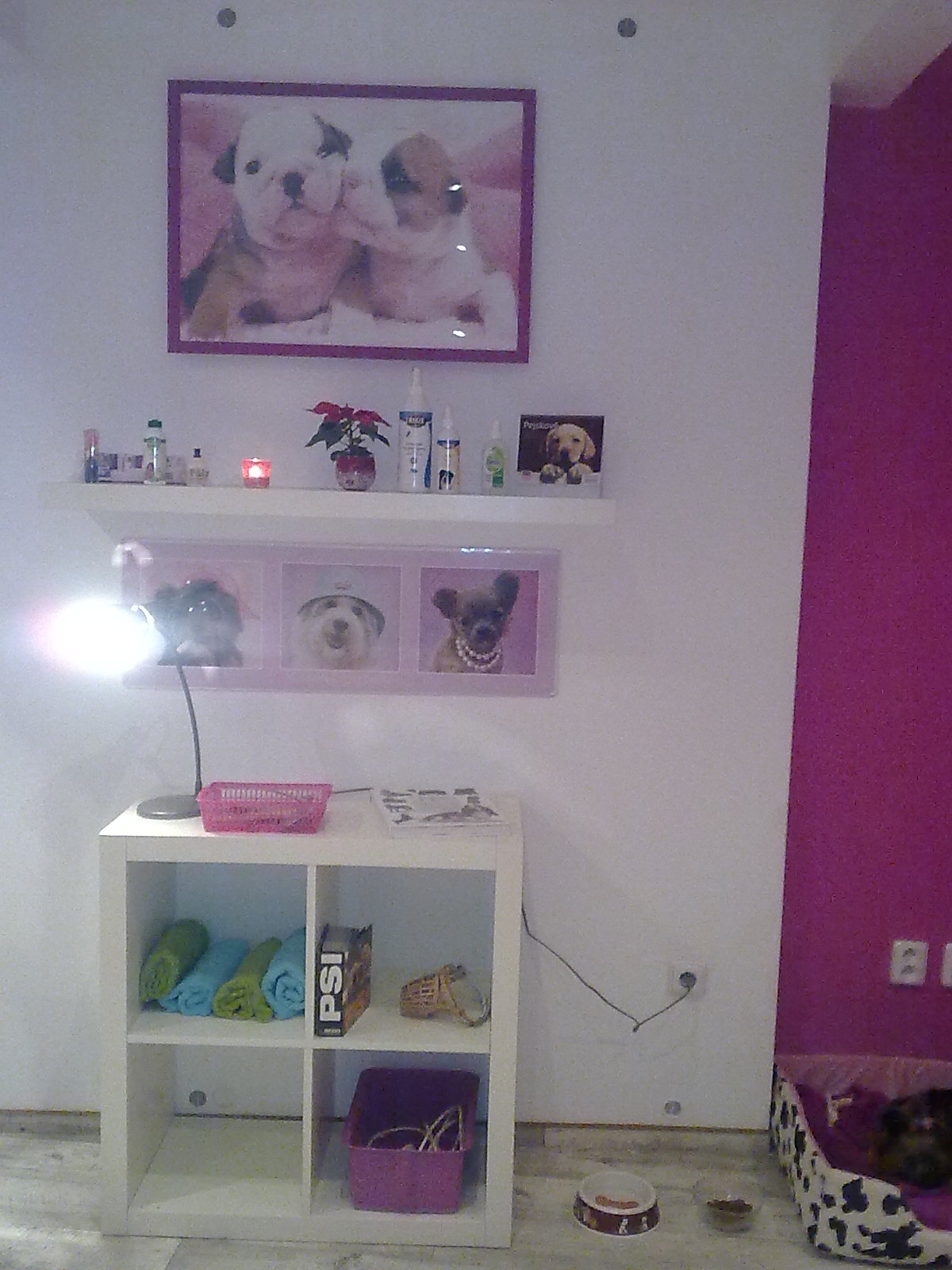 Psí salón Ketynka foto 2