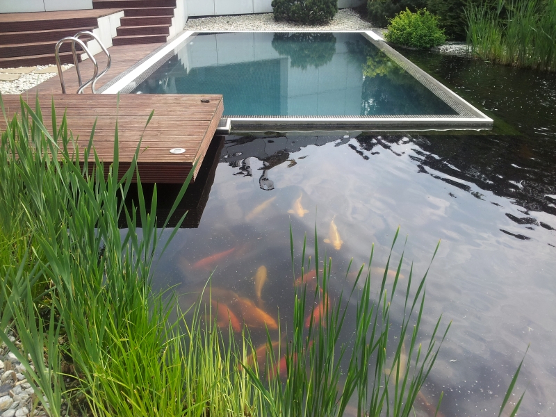 ASPR pool foto 3