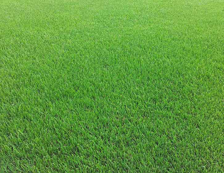 Travnik-realizace.cz foto 2