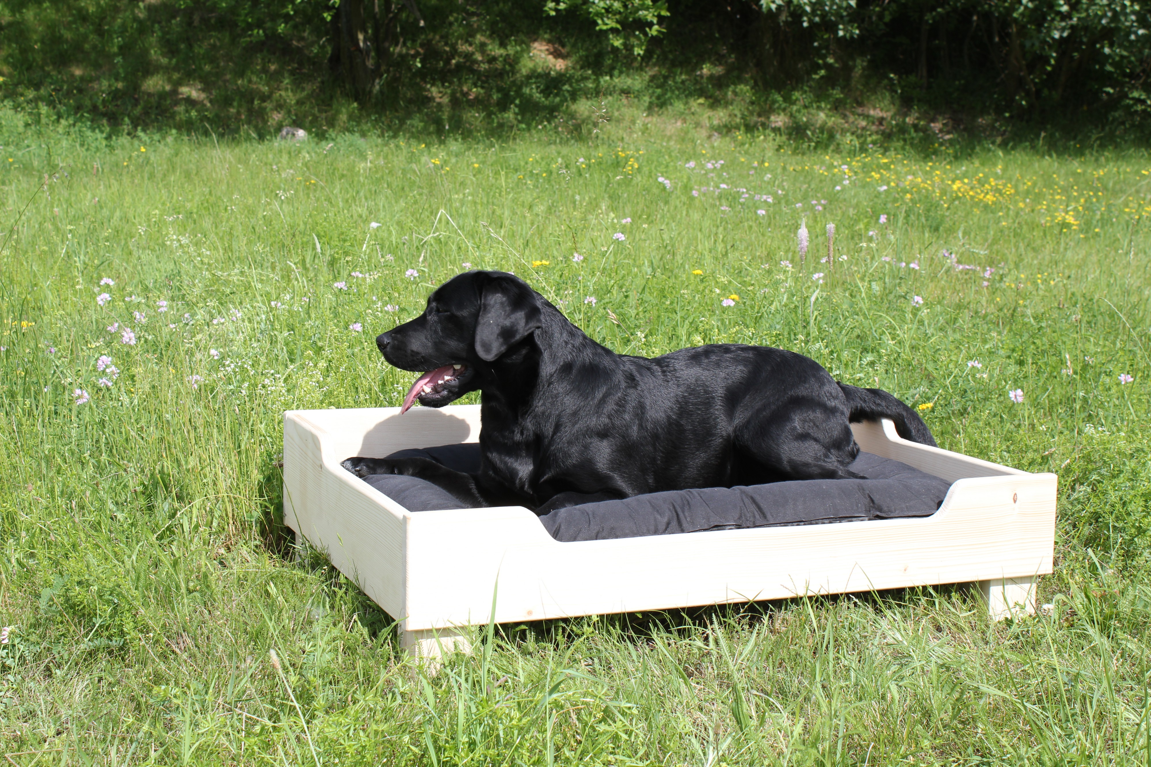 Truhlářsví Tomáš Pilař foto 3