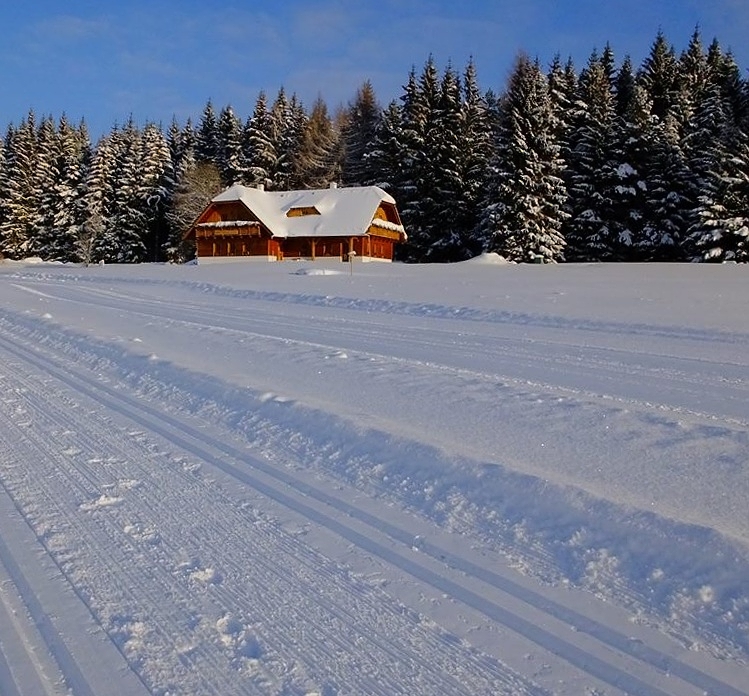 Penzion Šumavské rozcestí foto 5