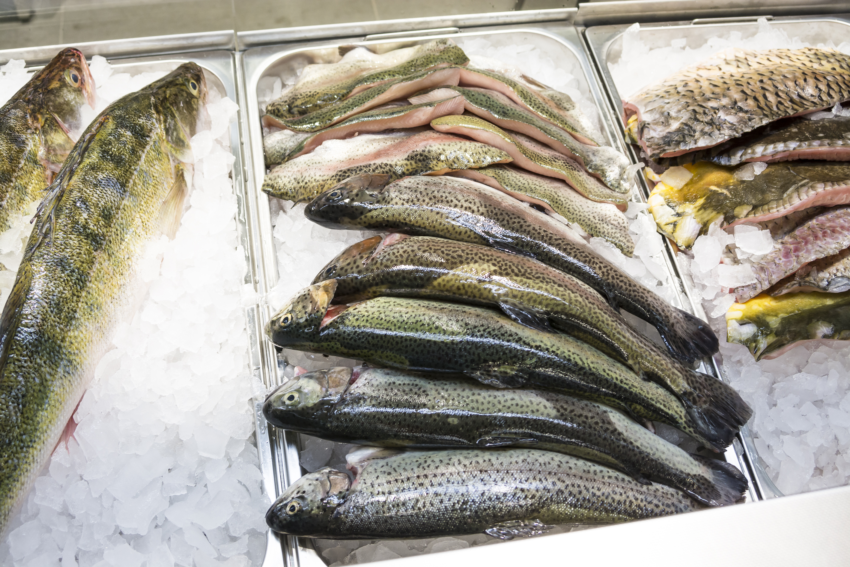 Sádky Lahovice foto 2