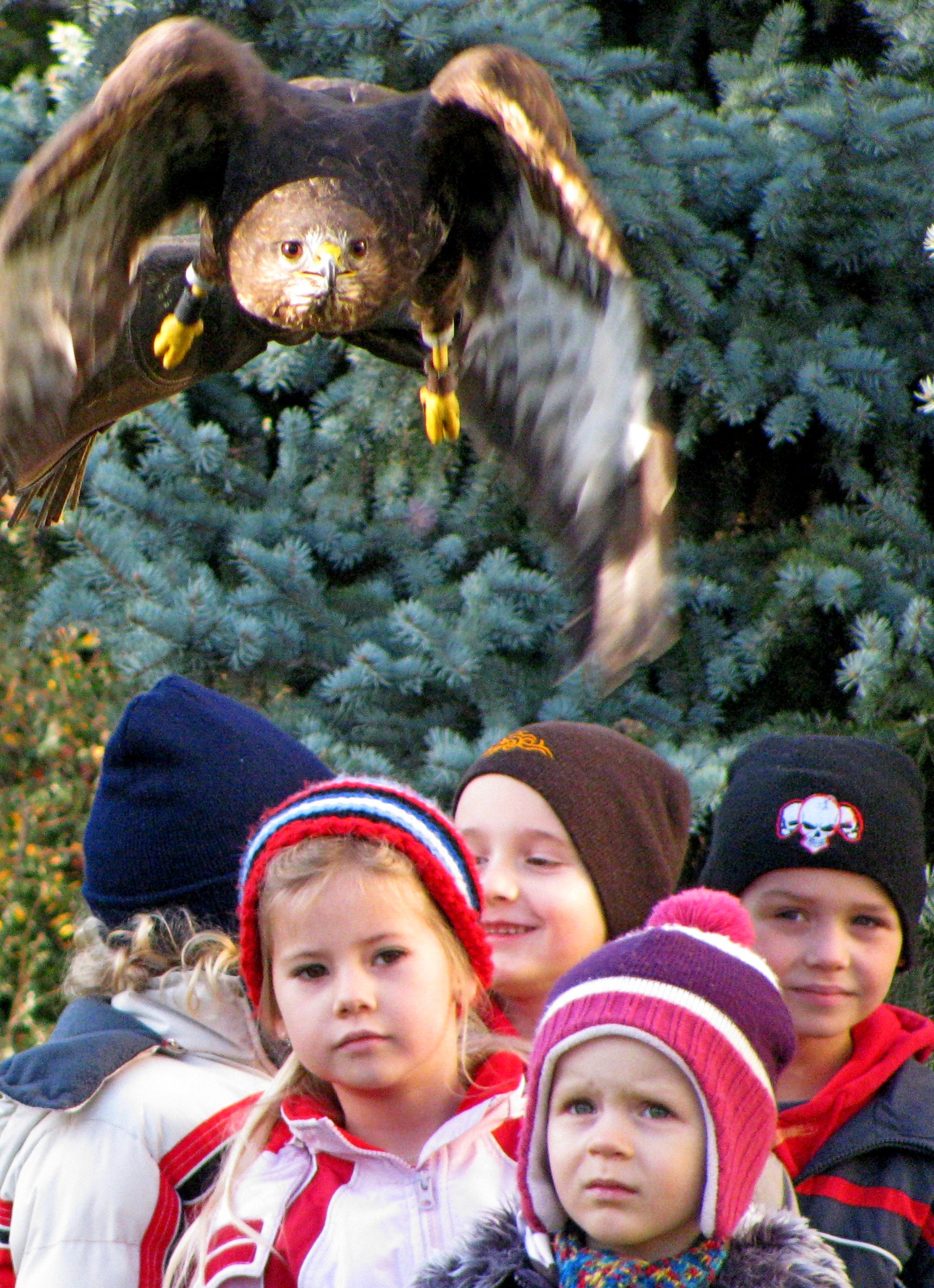 Sokolník Ondra foto 3