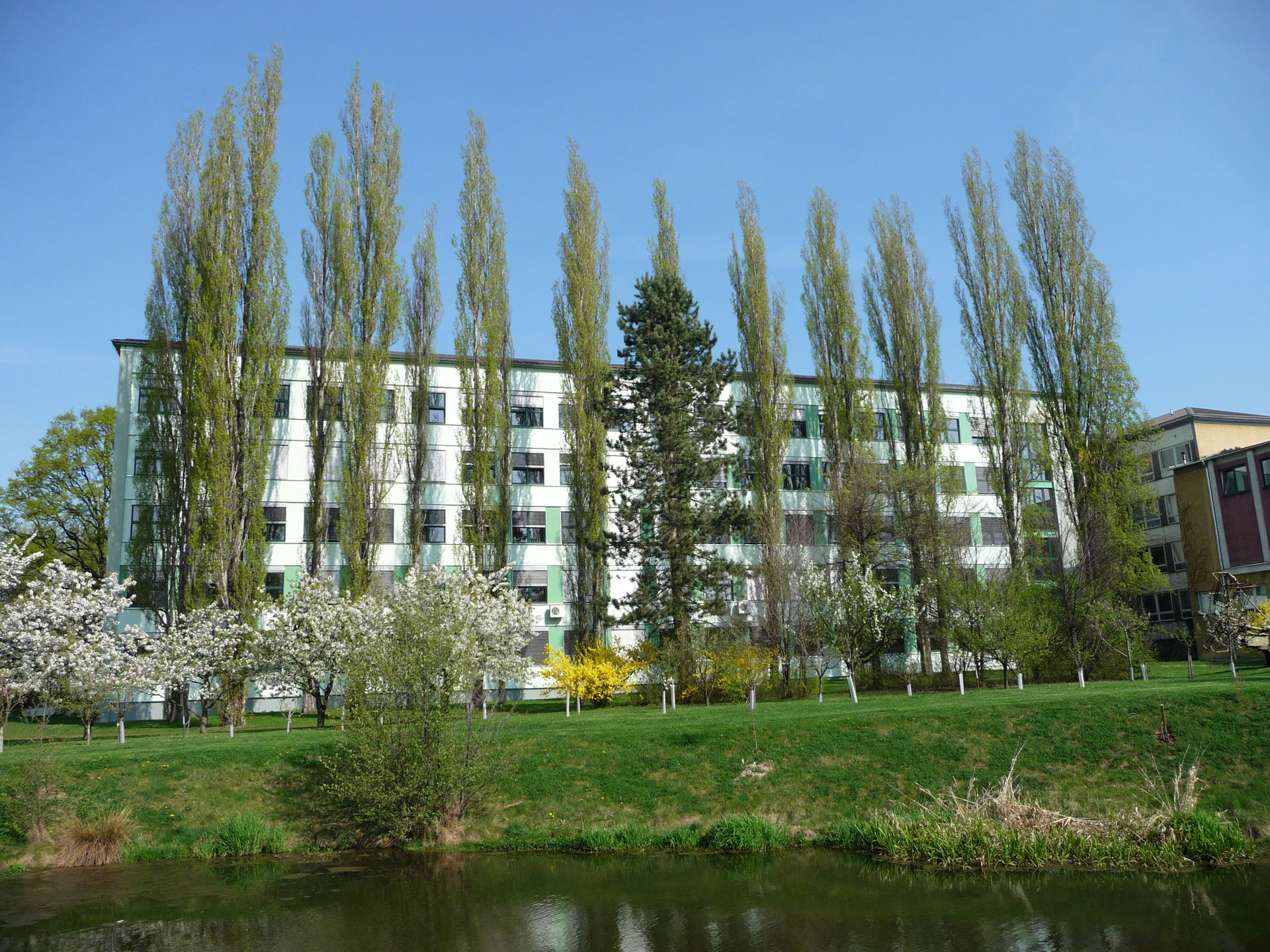 SOŠ veterinární, mechanizační a zahradnická a Jazyková škola s právem státní jazykové zkoušky, České Budějovice, Rudolfovská 92 foto 4