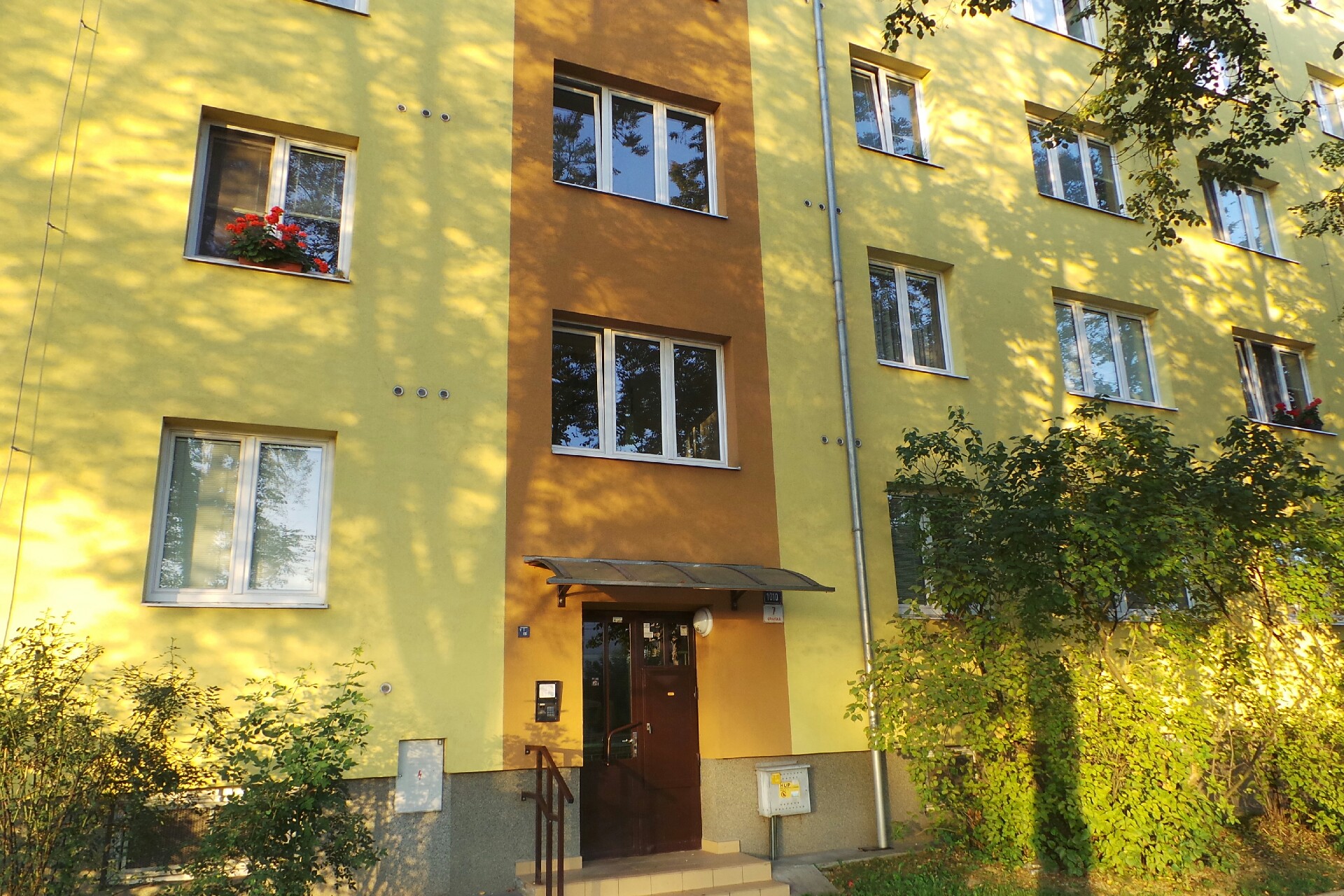 Ing. Kamila Vašíčková foto 1