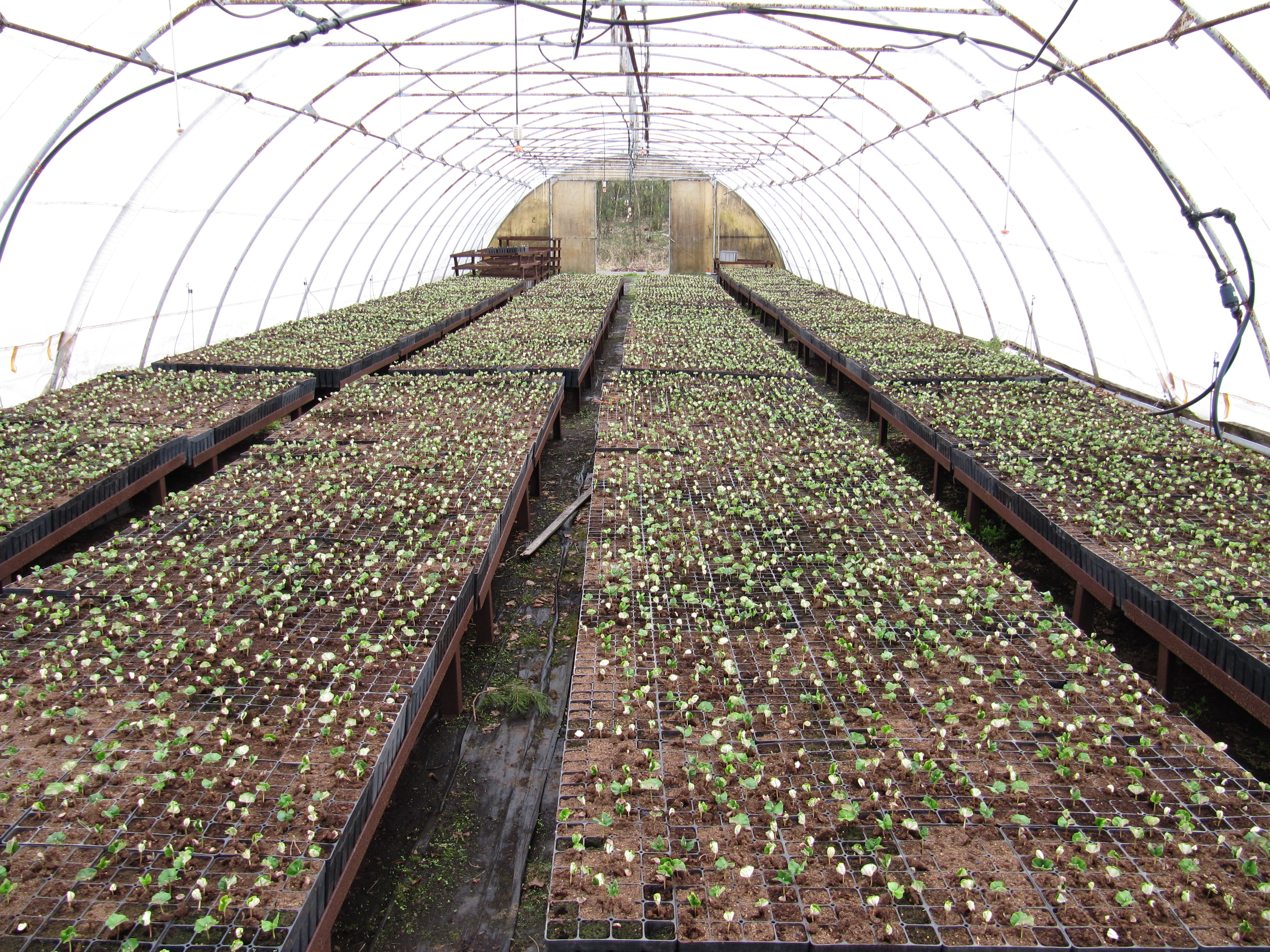 Lesní školka Vědomice s.r.o. foto 3