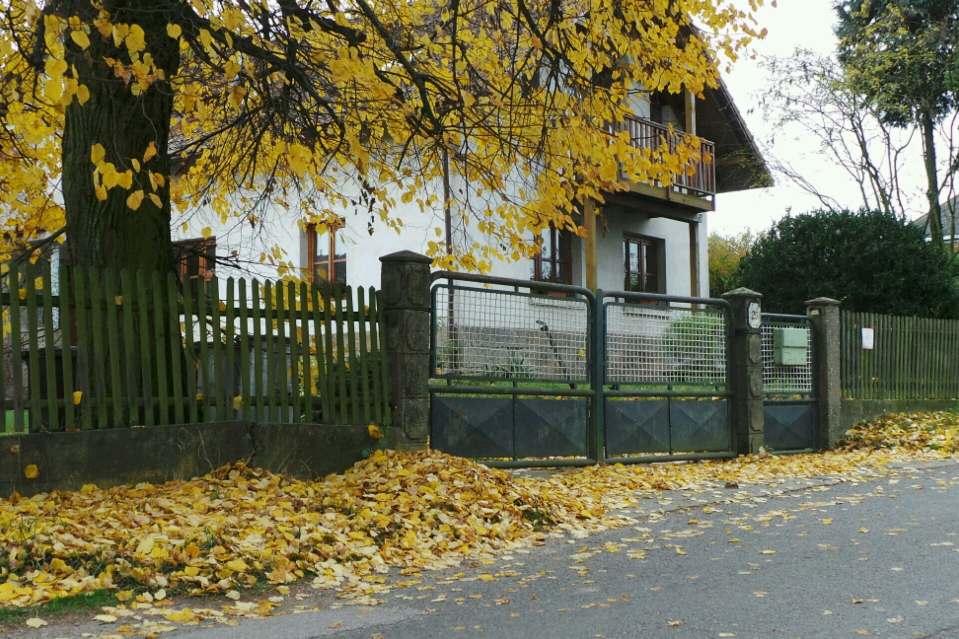 Mgr. Irena Van Vuurenová- Překladatelské služby