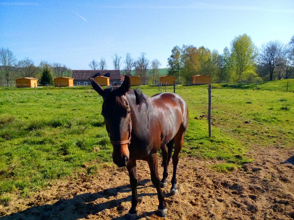 Farma U Bílého Domu foto 3