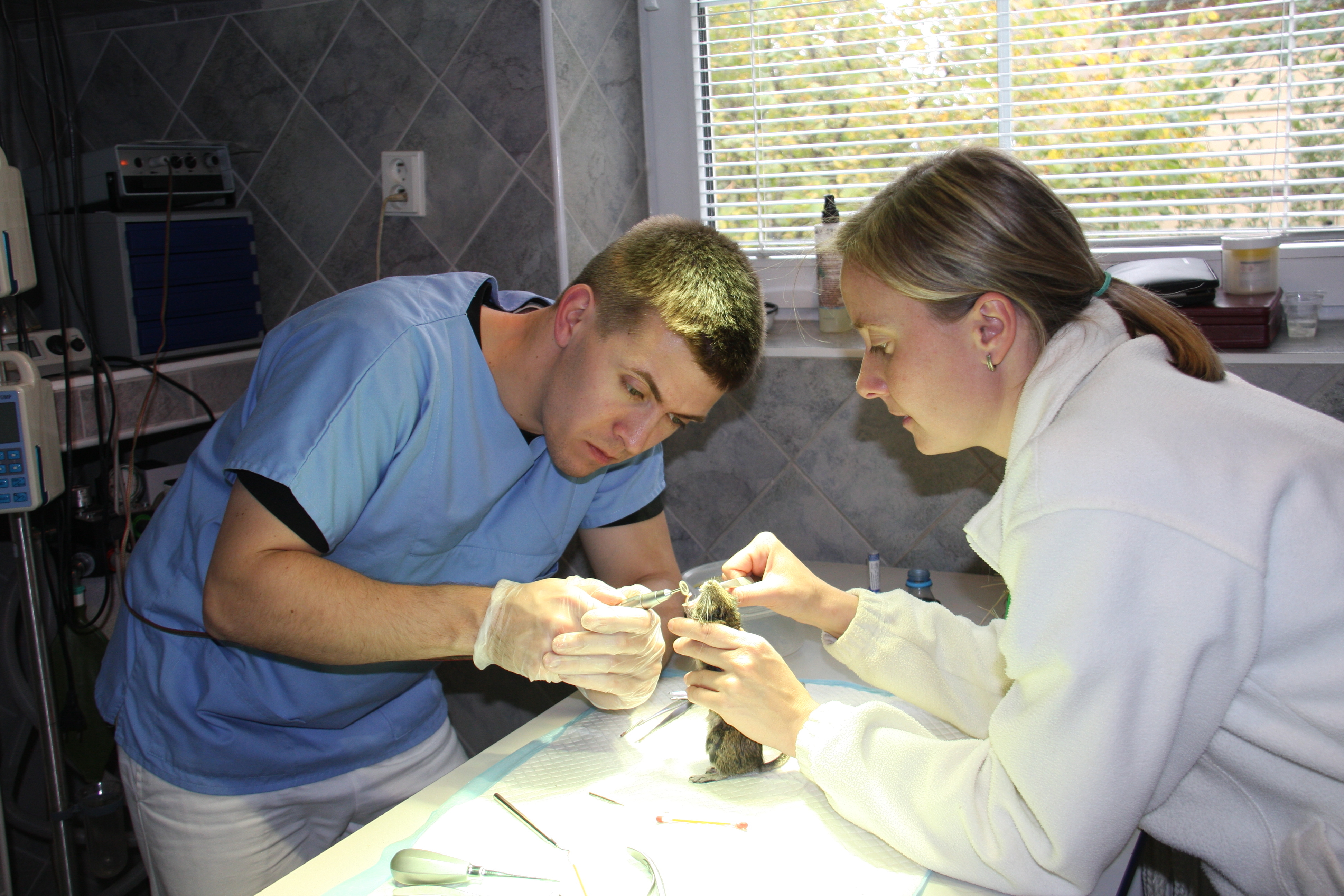 Veterinární klinika Zodiacus 97 s.r.o. foto 2