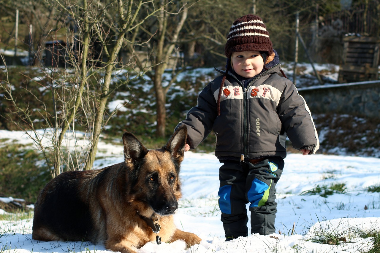 Hlídání psů Bc. Zdeněk Maděra foto 4