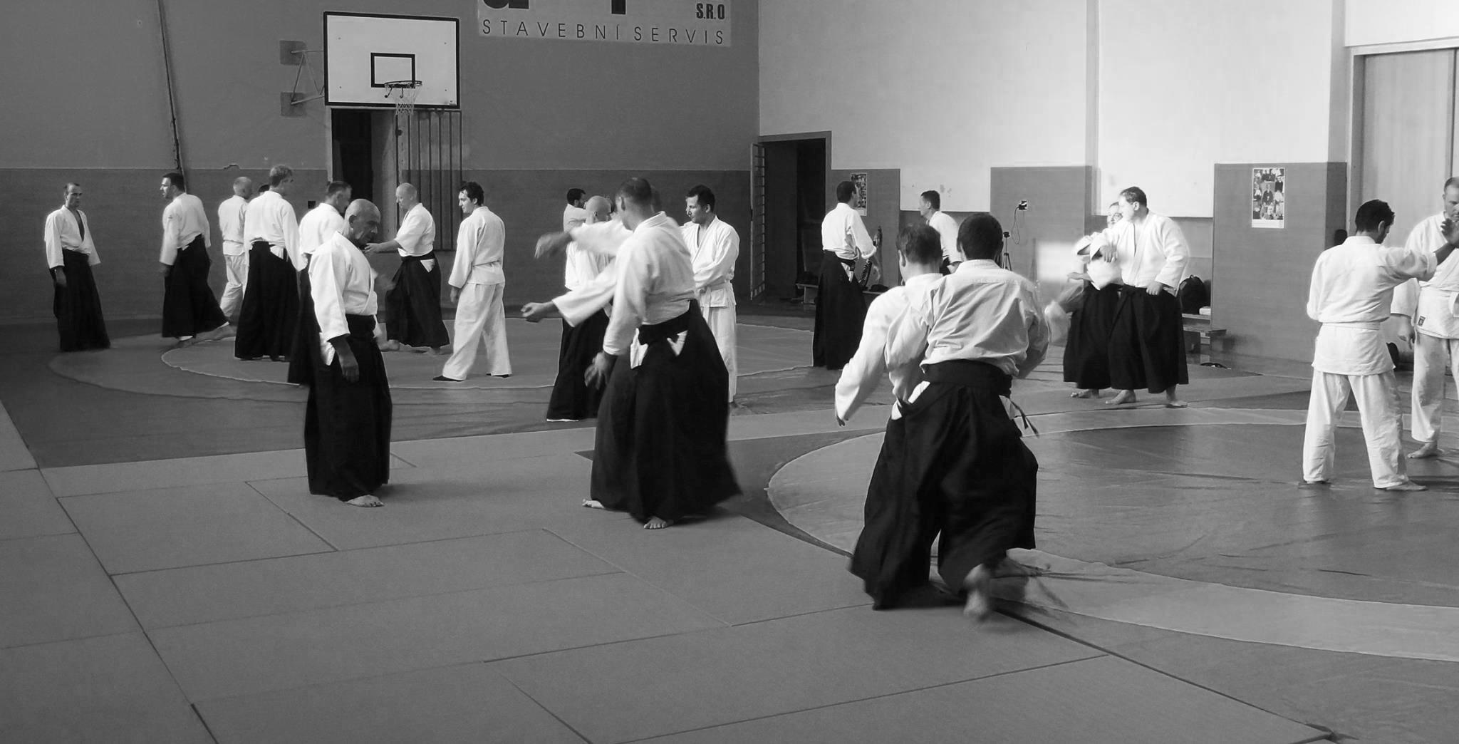 Aikido Dojo Nový Jičín foto 4