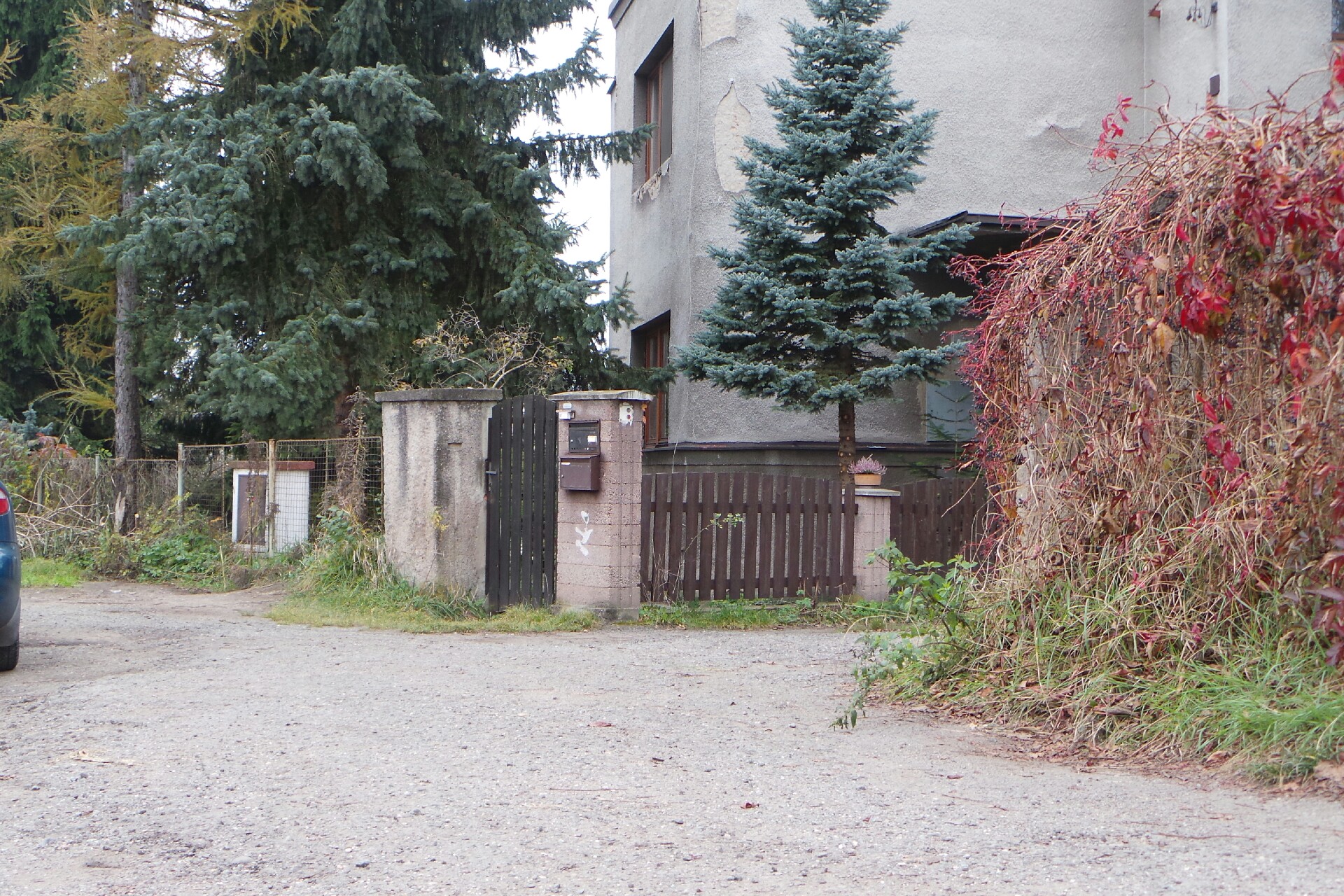 Mgr. Vlasta Ulrichová