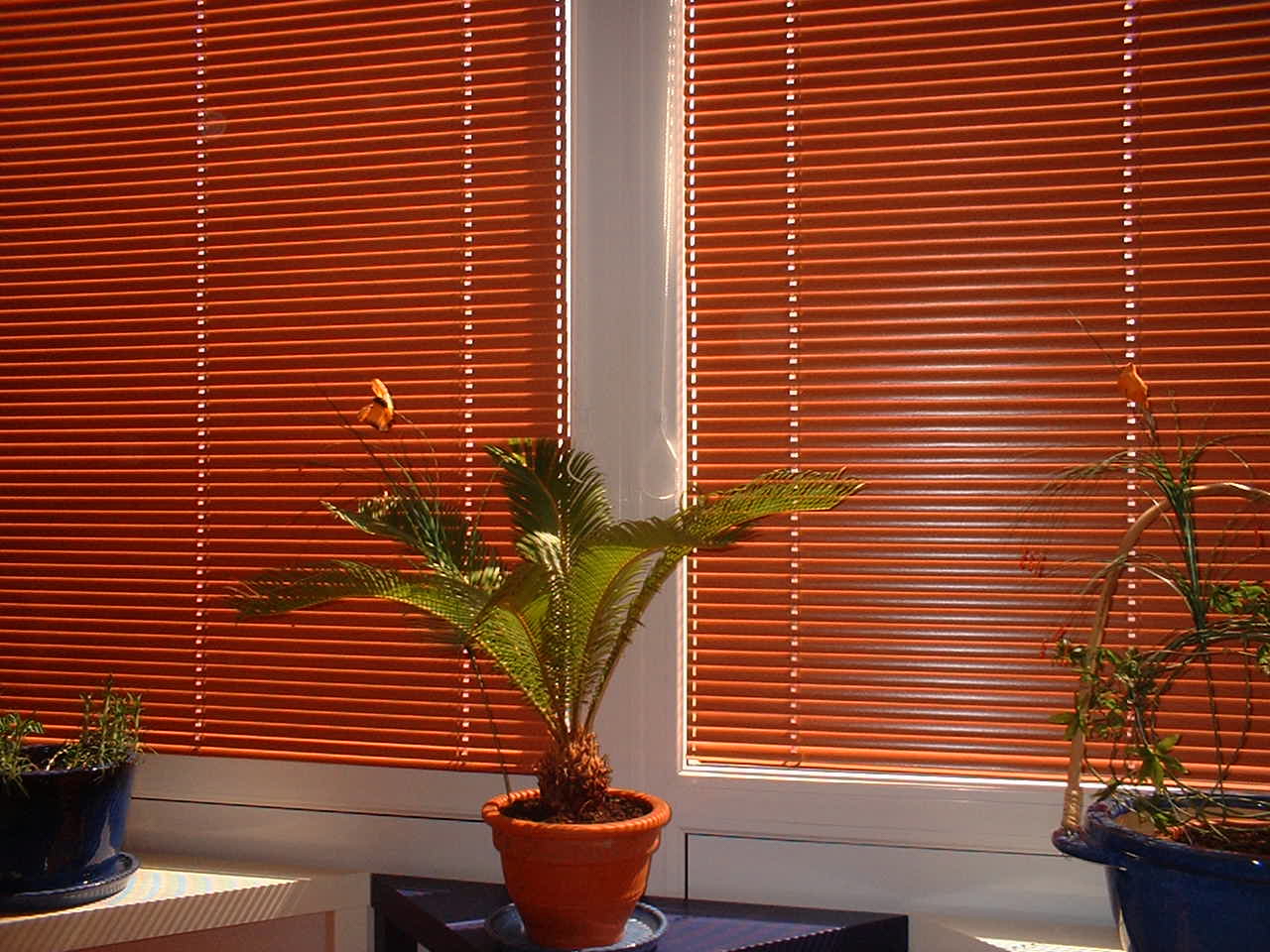SOLAR-TECHNIK, s.r.o. foto 2