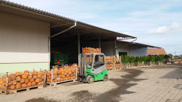 Zahradnictvi Brabec Oteviraci Doba