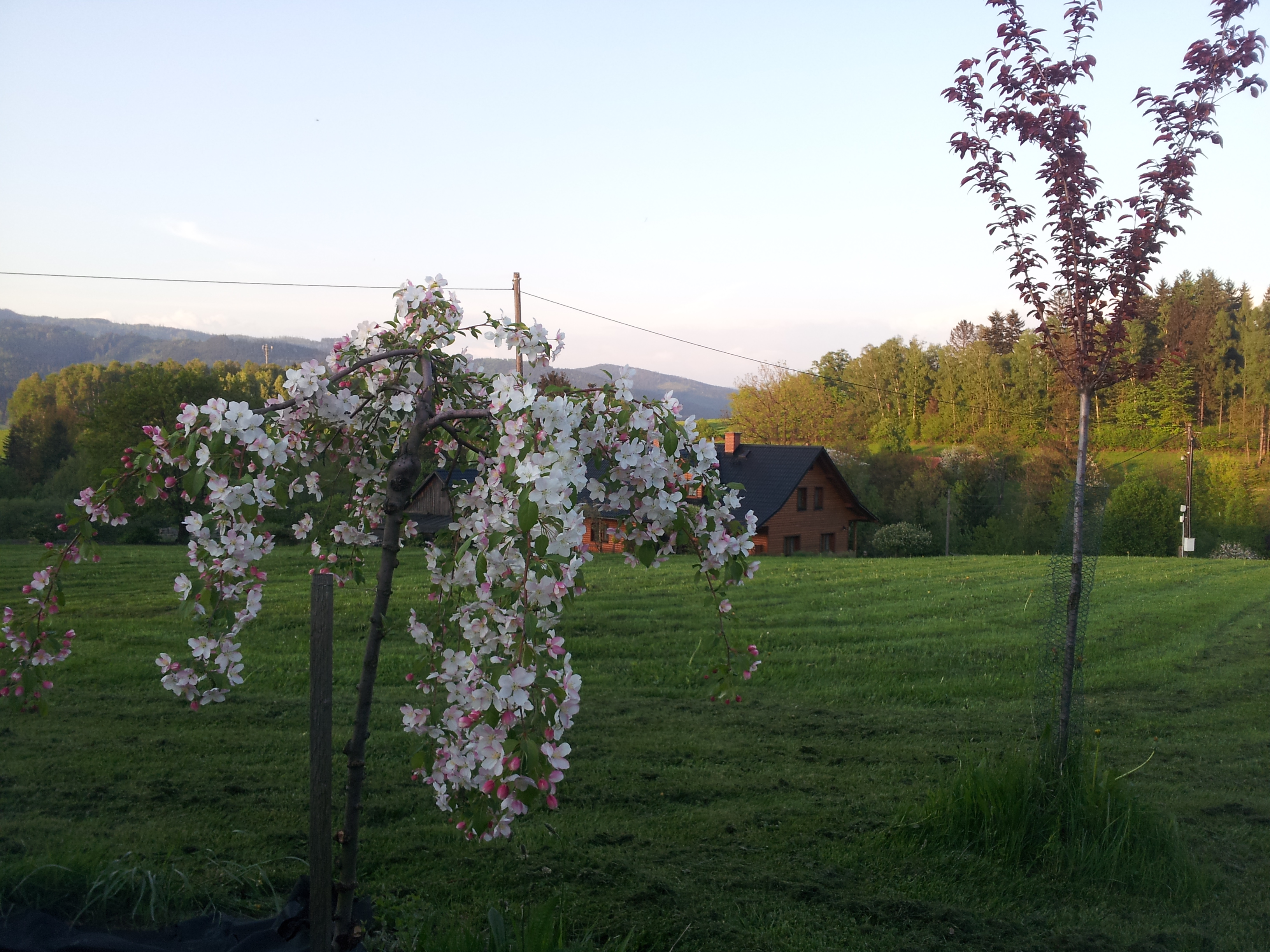 Penzion Zimny Beskydy foto 2