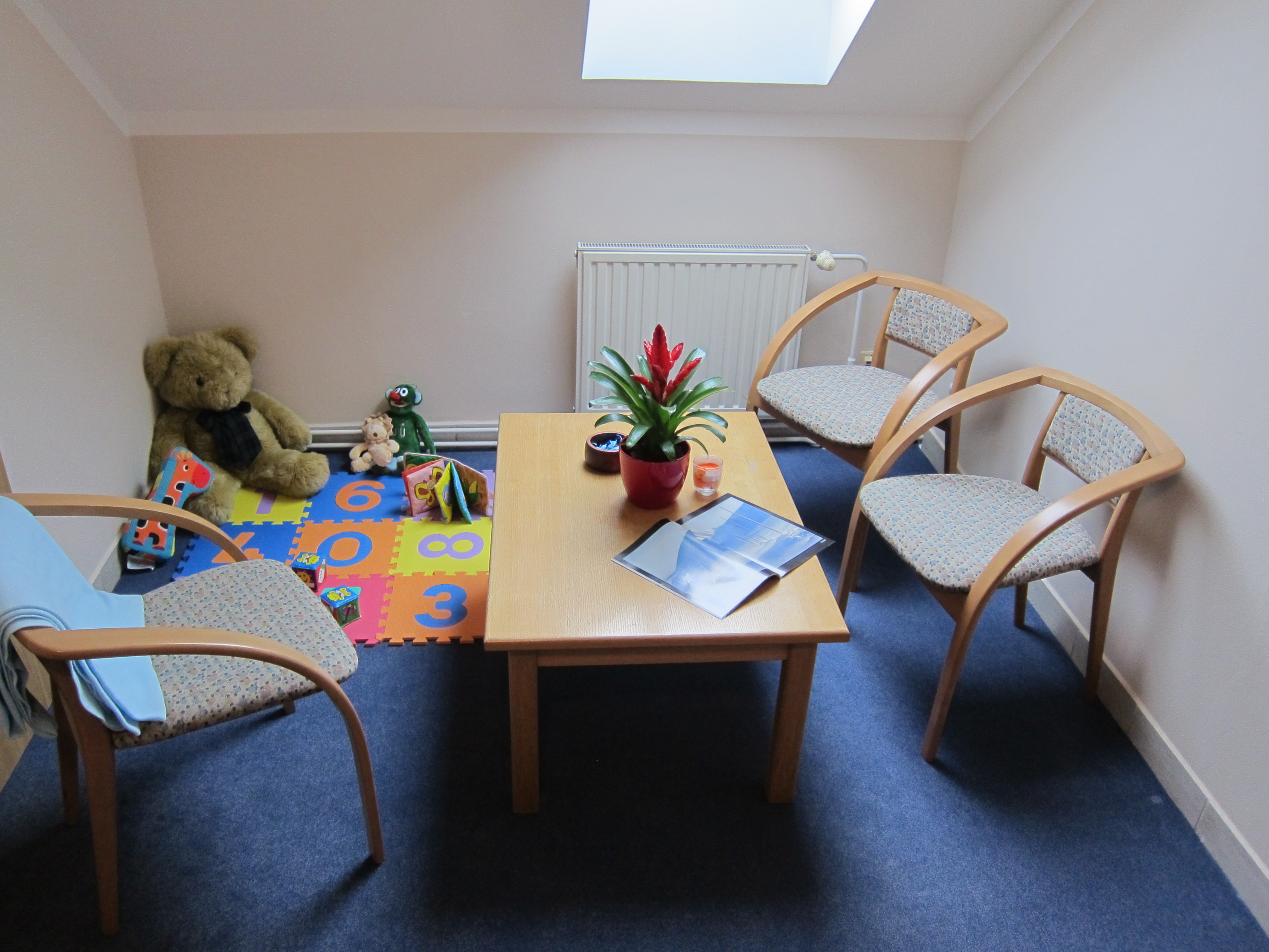 Ing. Ivana Dvořáková foto 2