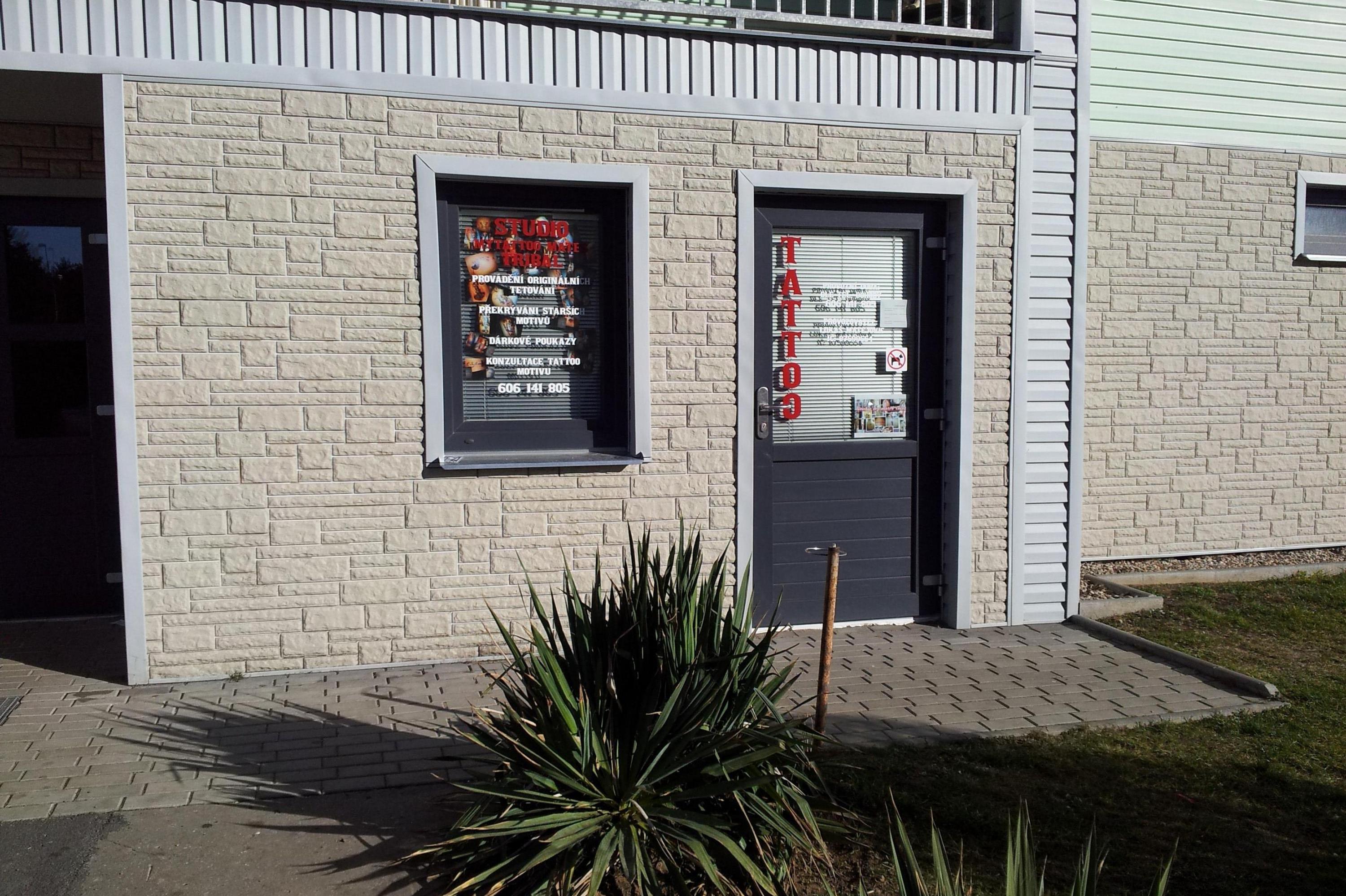 Mytattoo Mates Tribal