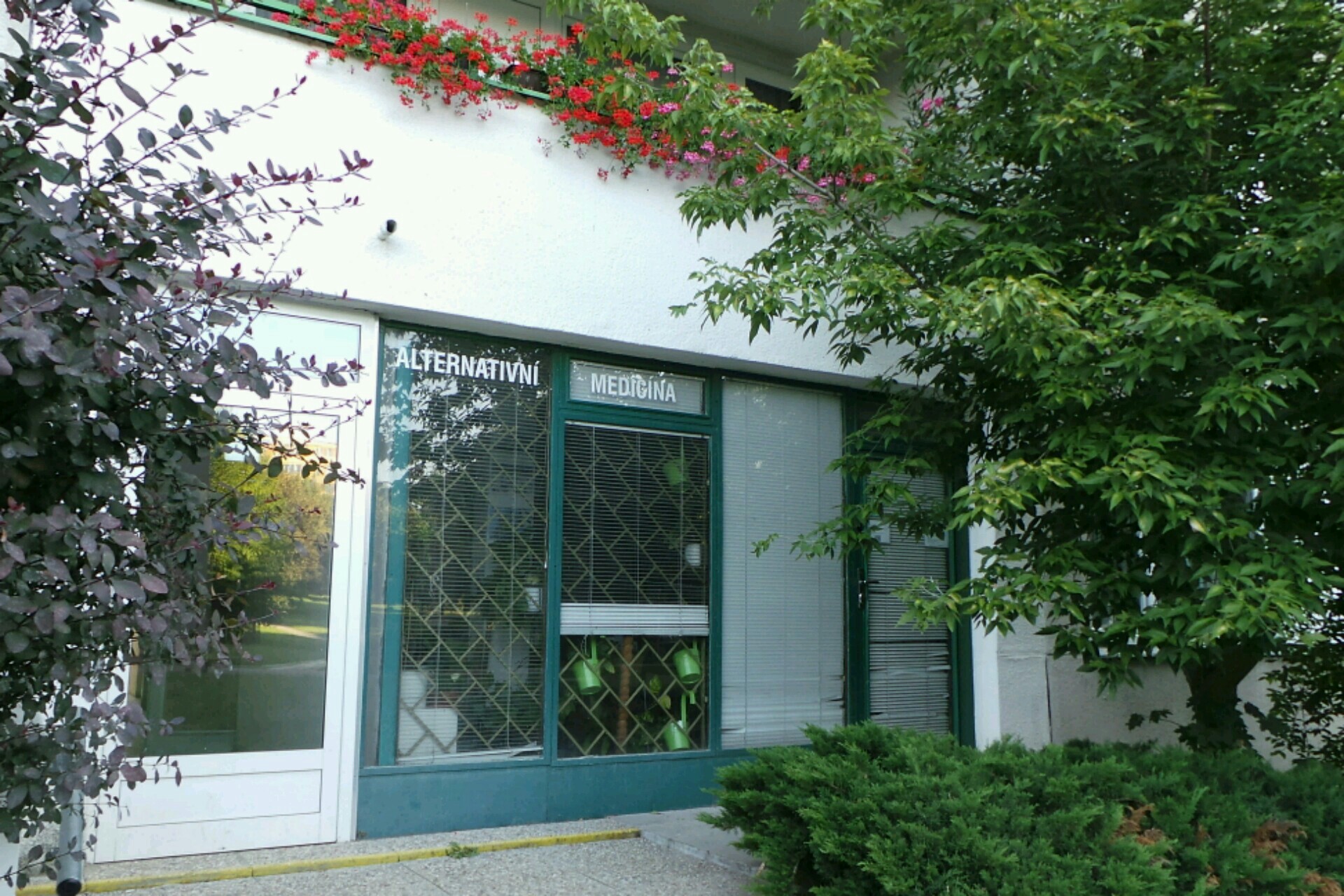 Homeopatie - Alternativní medicína - Marie Valášková