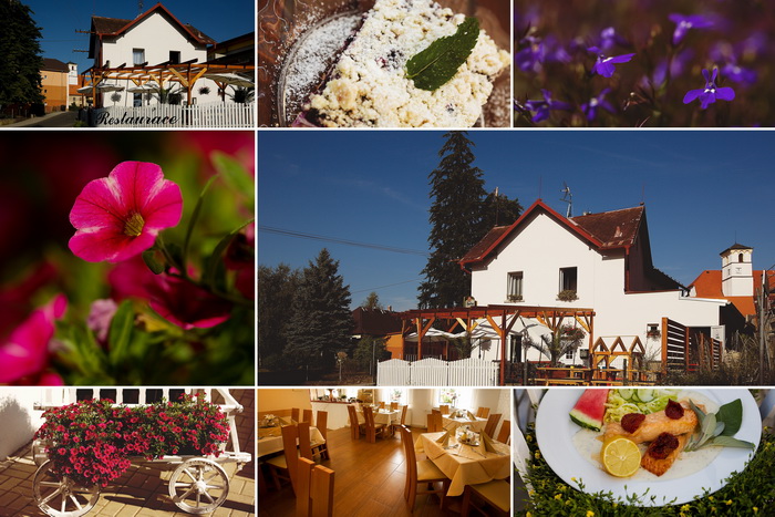 Restaurace U Drozdeků foto 3