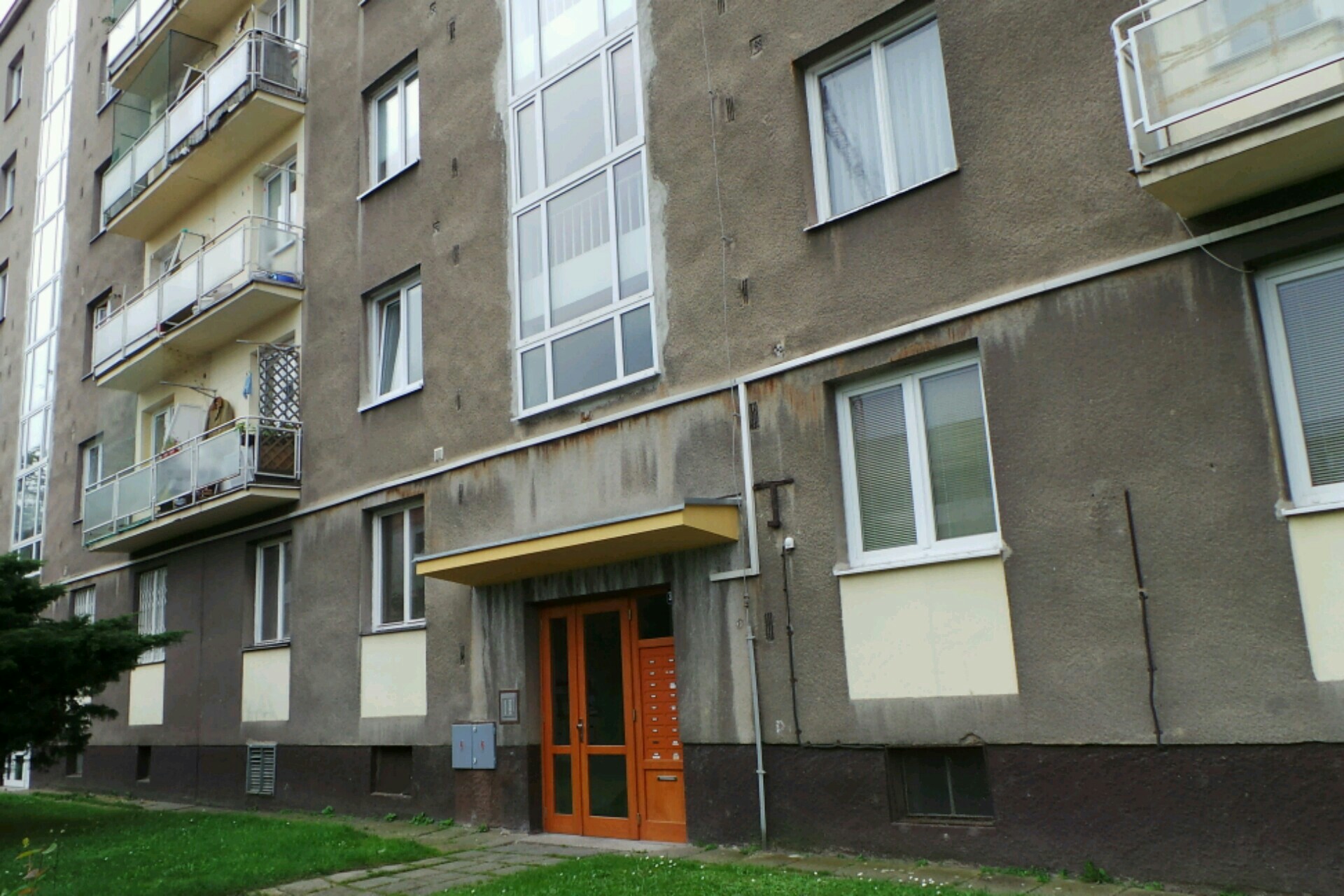 Český svaz Jiei-Jutsu foto 1