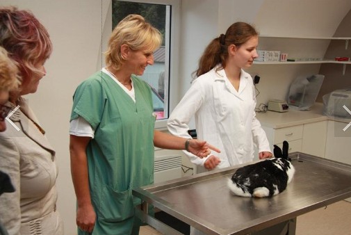 Střední škola zemědělská a veterinární Lanškroun